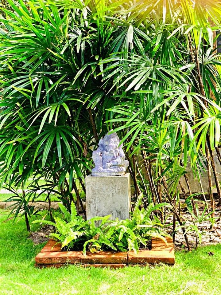 Paradise Cottage photo 7