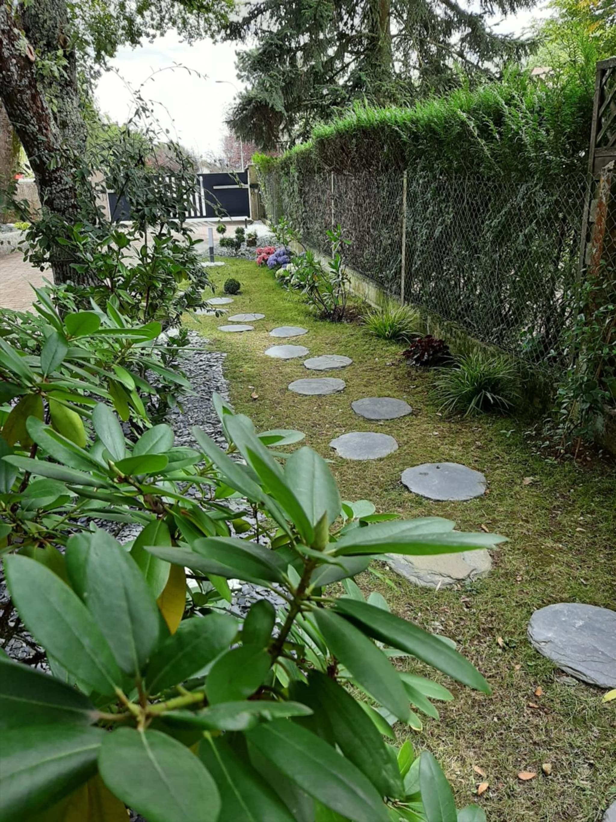 SAKURA photo 3