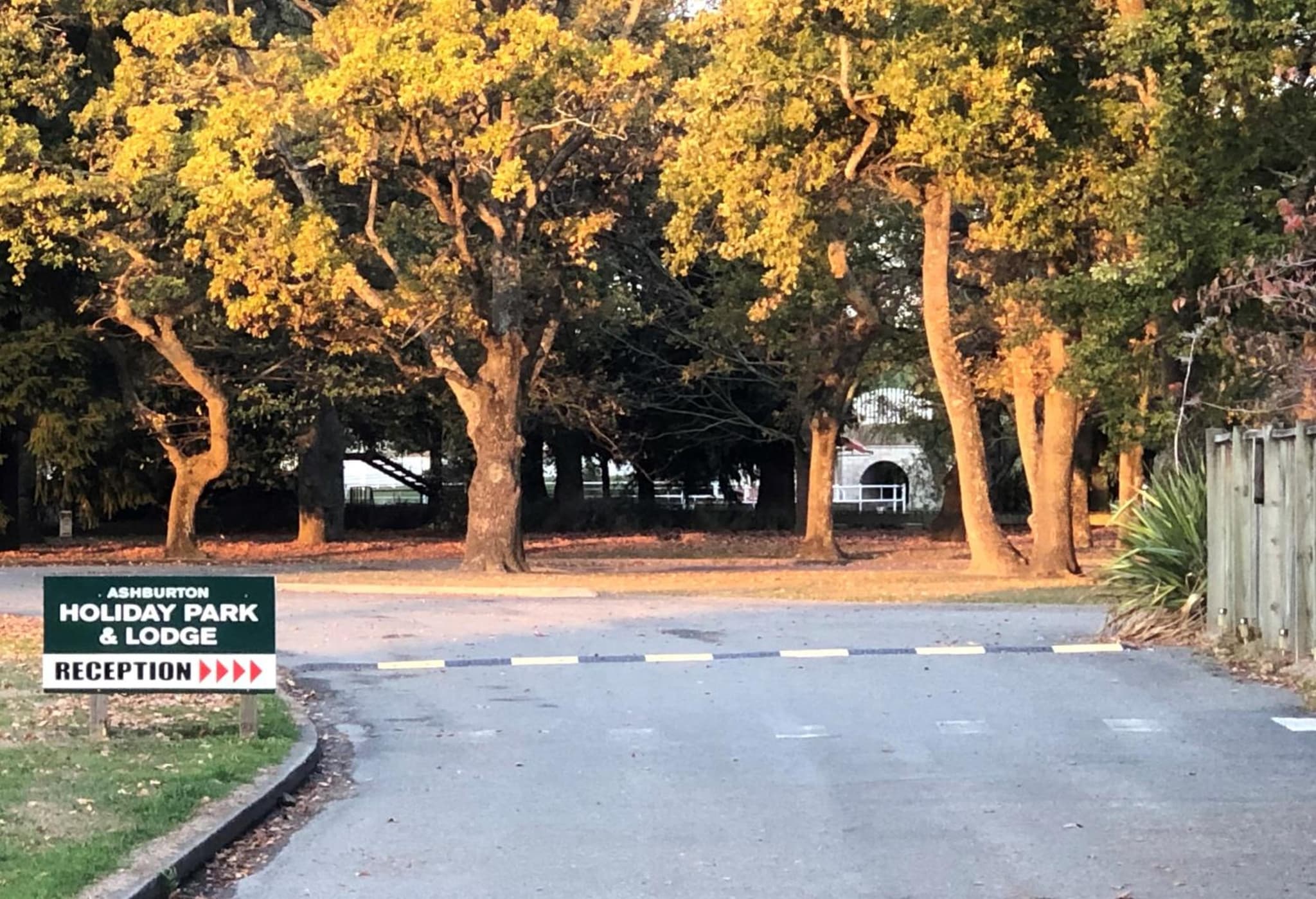 Ashburton Holiday Park photo 4