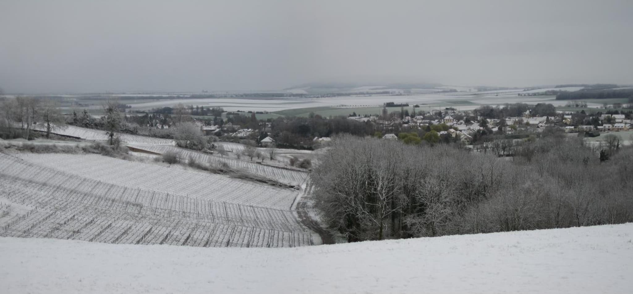 Domaine des Grattières photo 5
