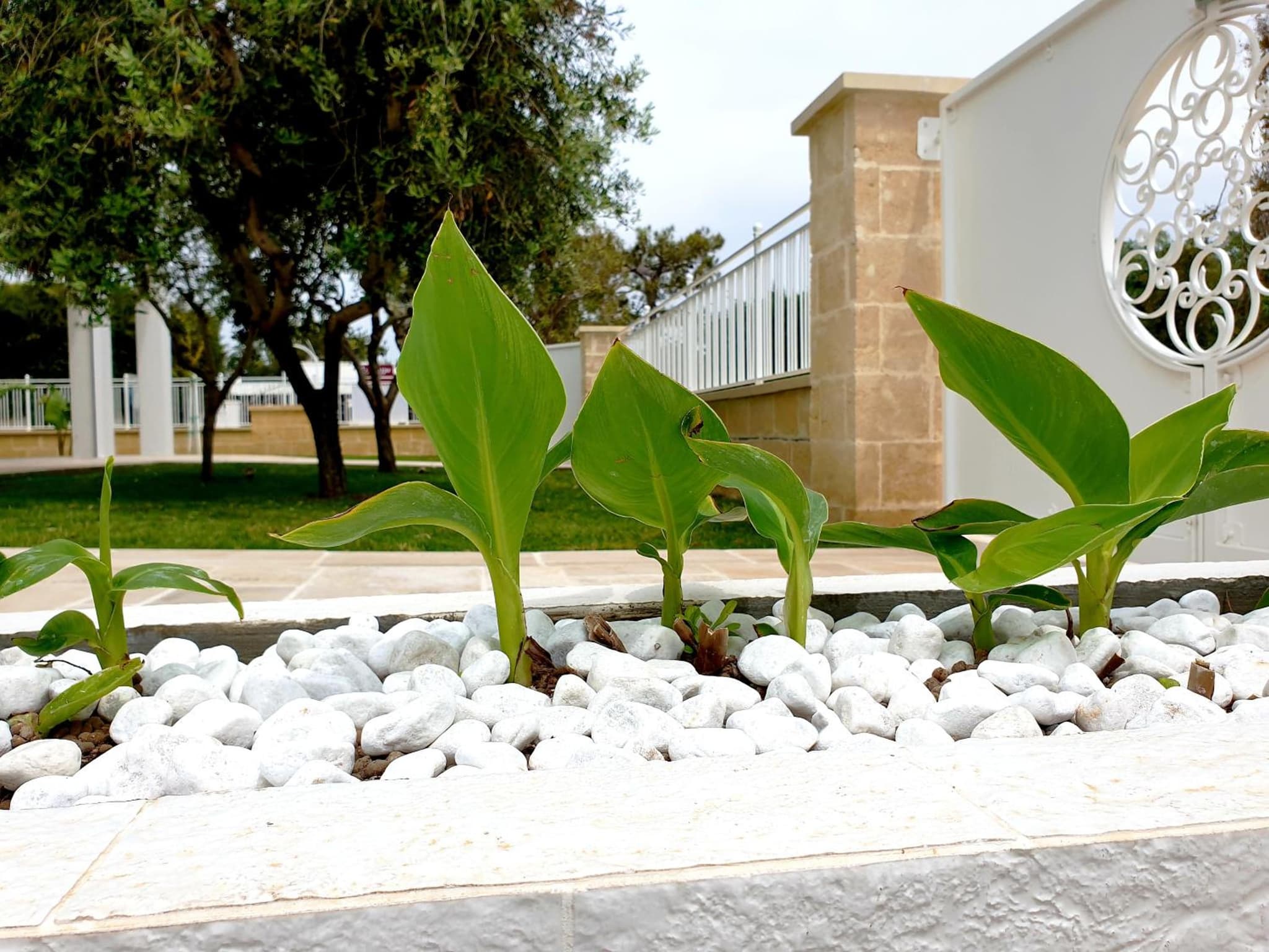 La Baia Apartments photo 6