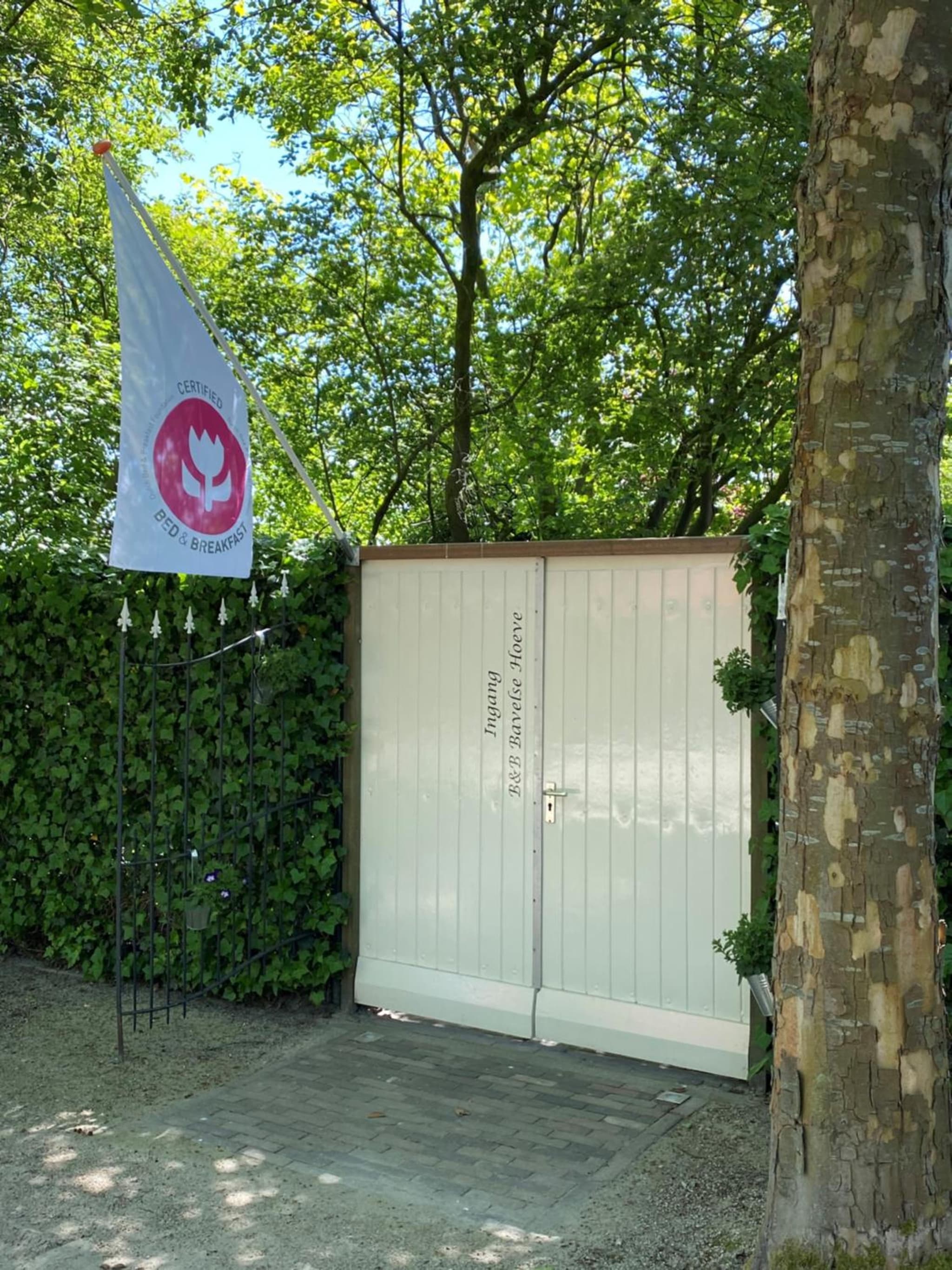 B&B Bavelse Hoeve photo 4
