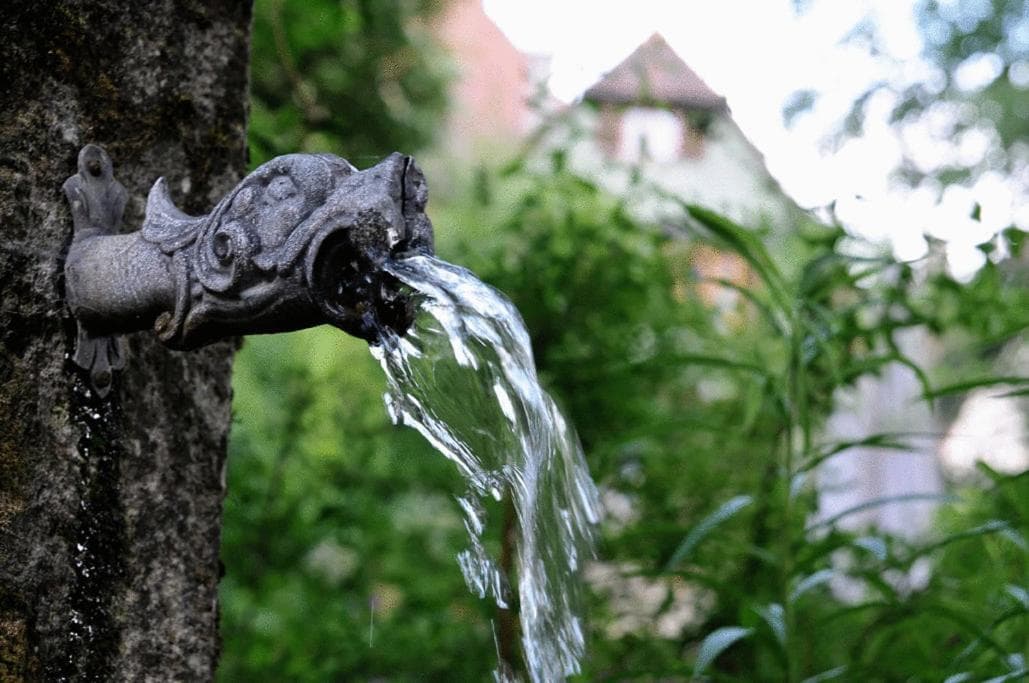 Hotel Herrnschloesschen photo 8