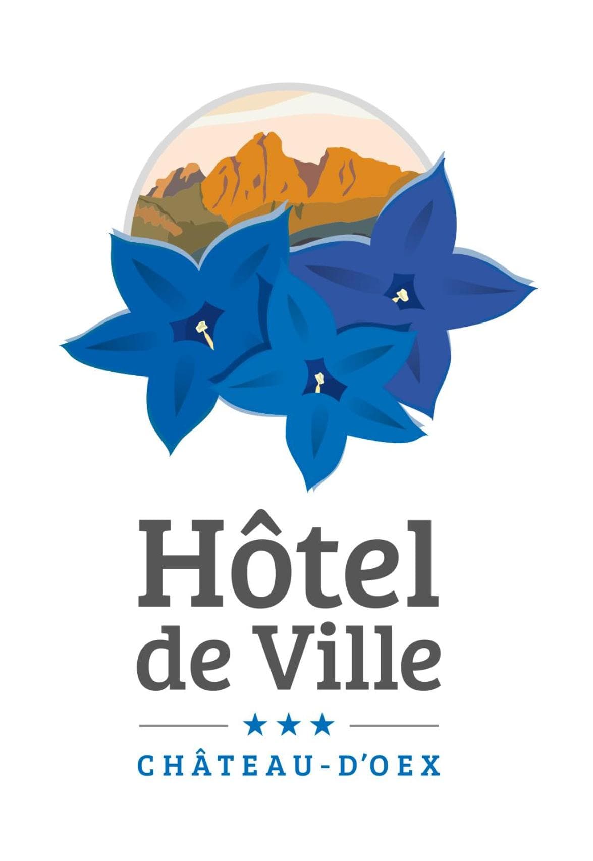 Hôtel de Ville photo 3