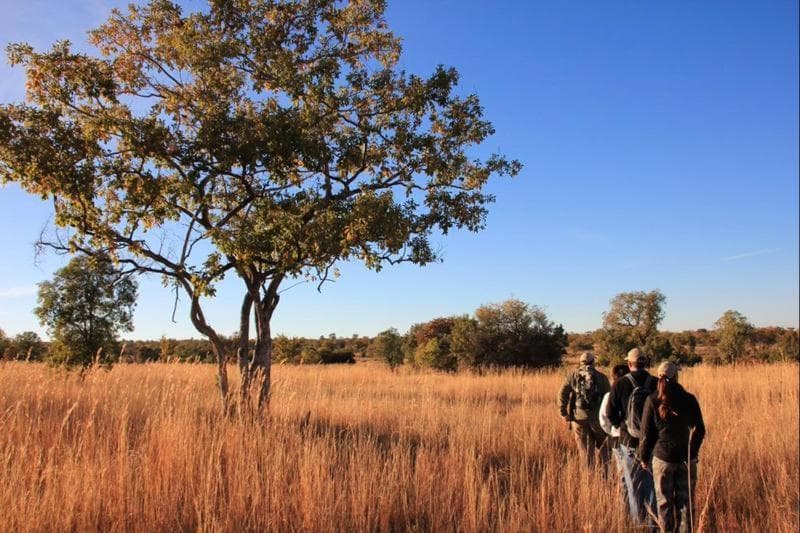 BushTime Mabula photo 2