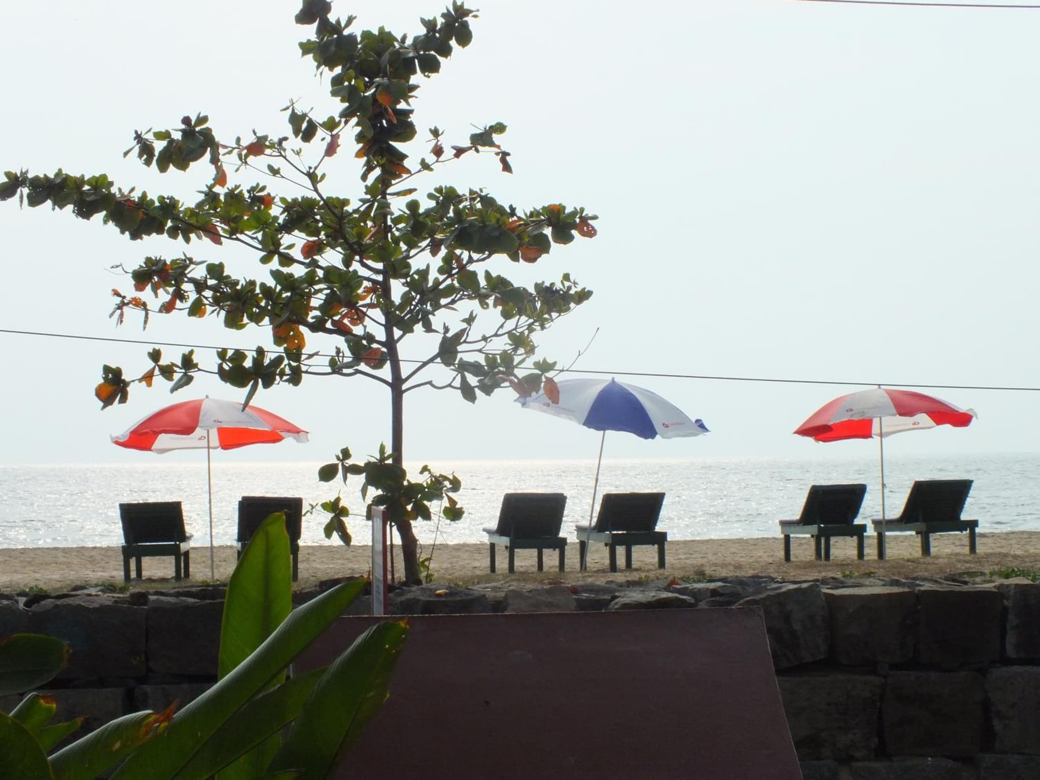 Cherai Beach Residency photo 9