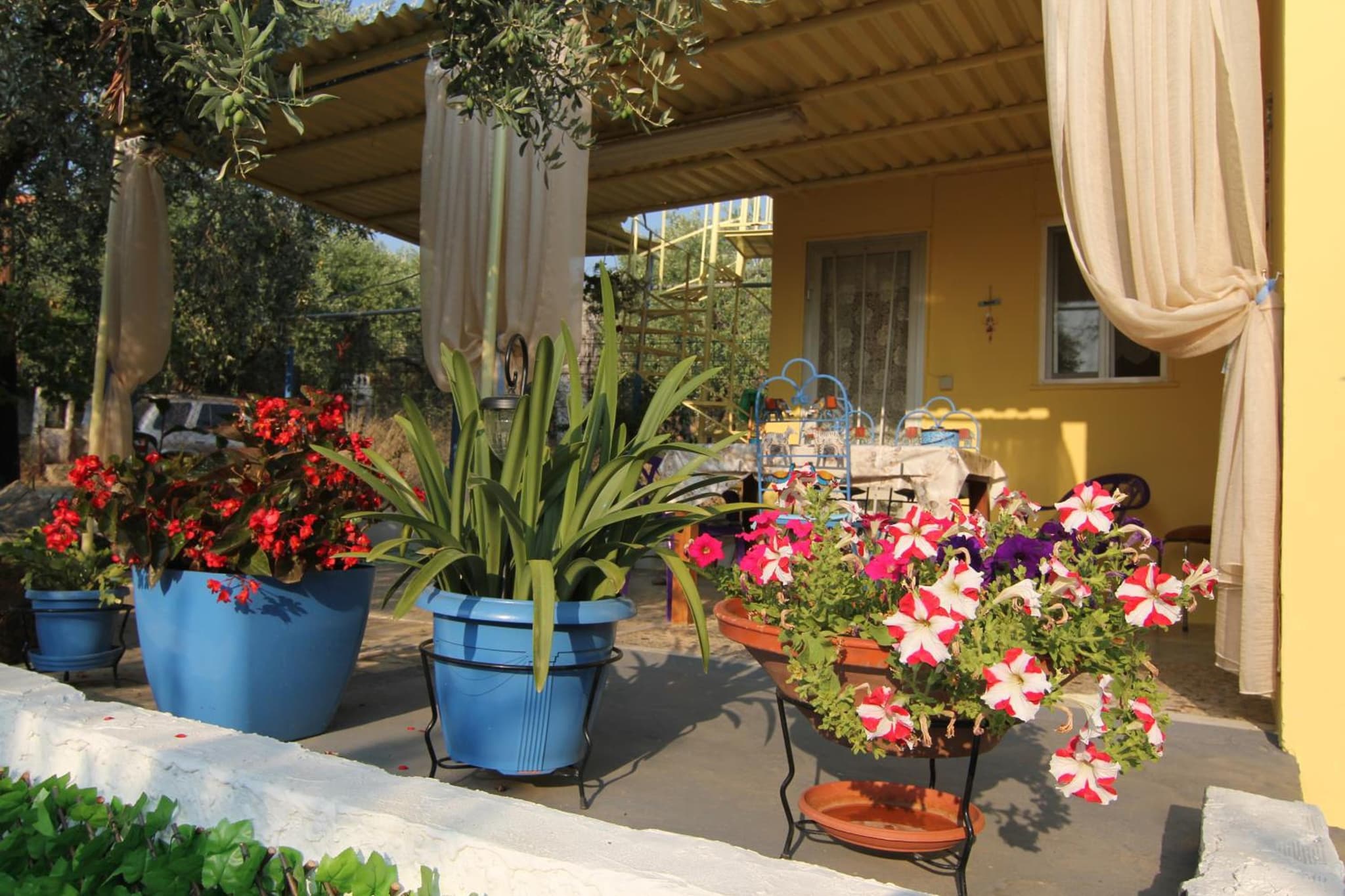 Joanna's House