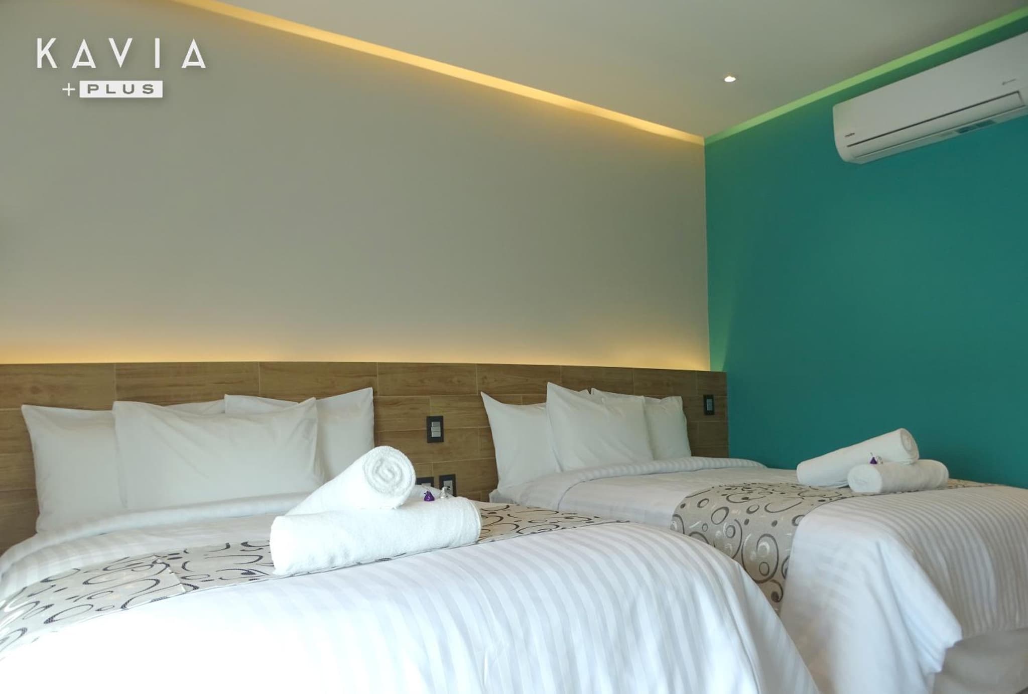 Hotel Kavia Plus photo 3