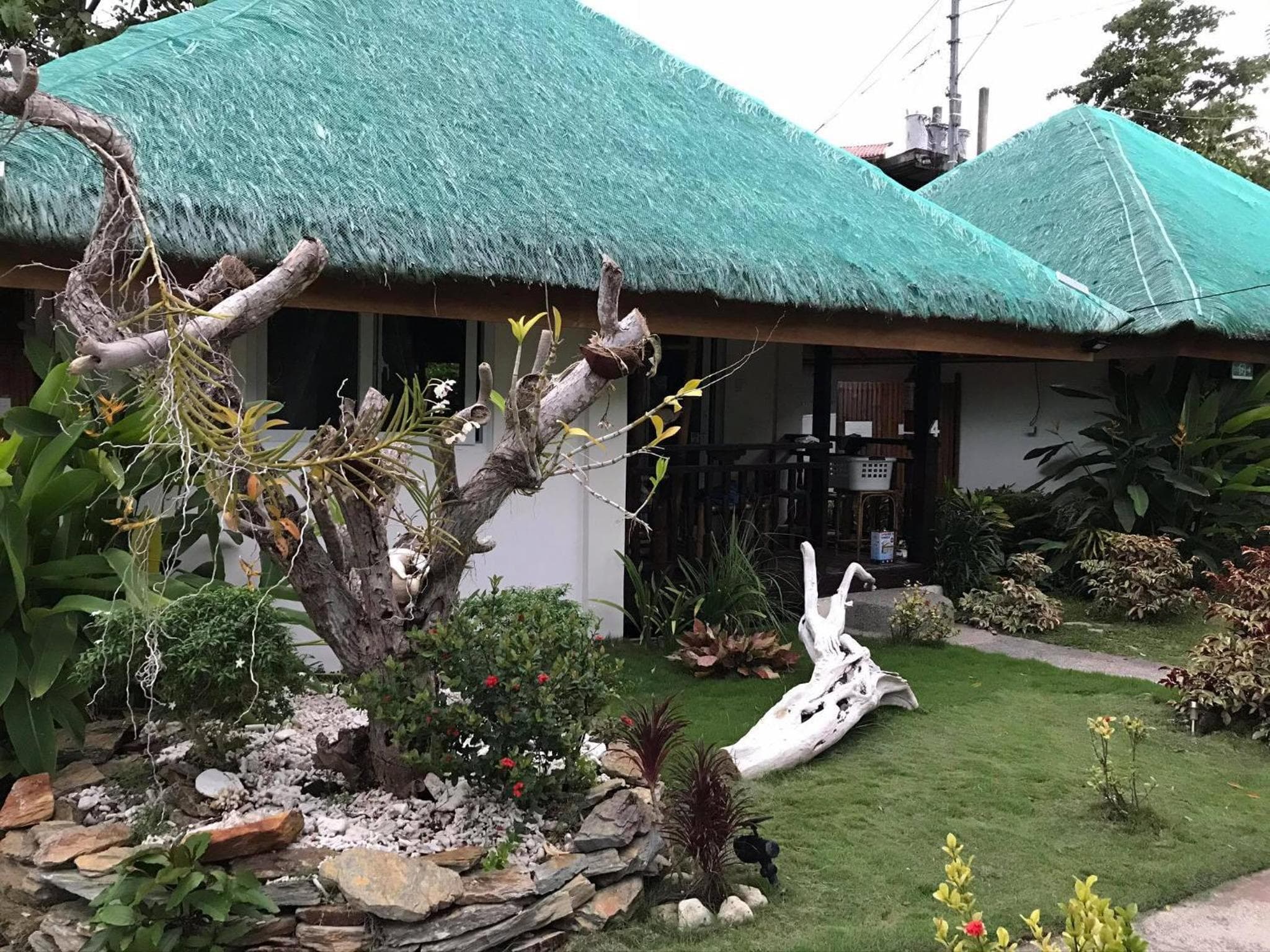 Blue Lagoon Dive Resort photo 2