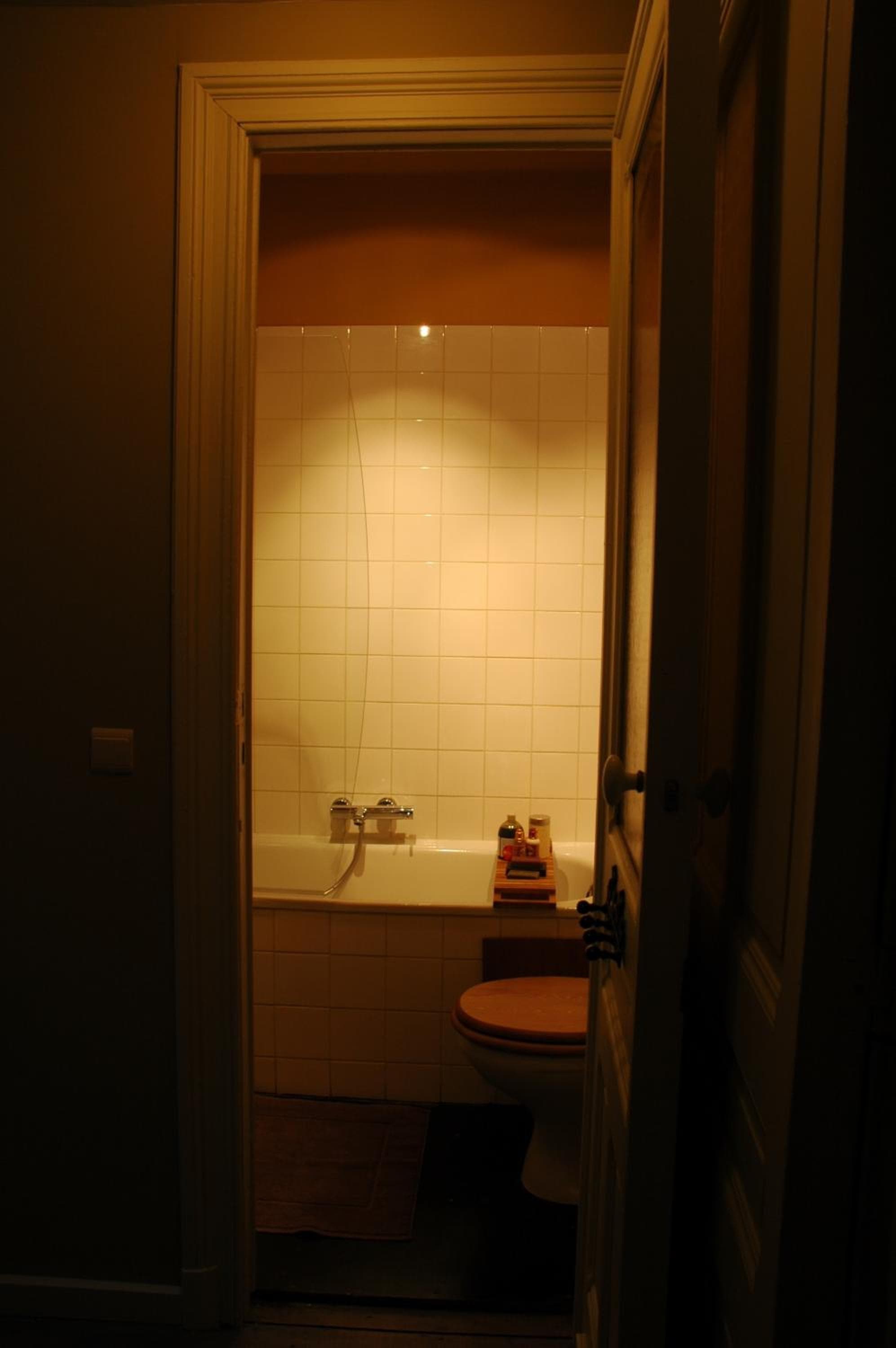 Villa des Roses Voltaire photo 3