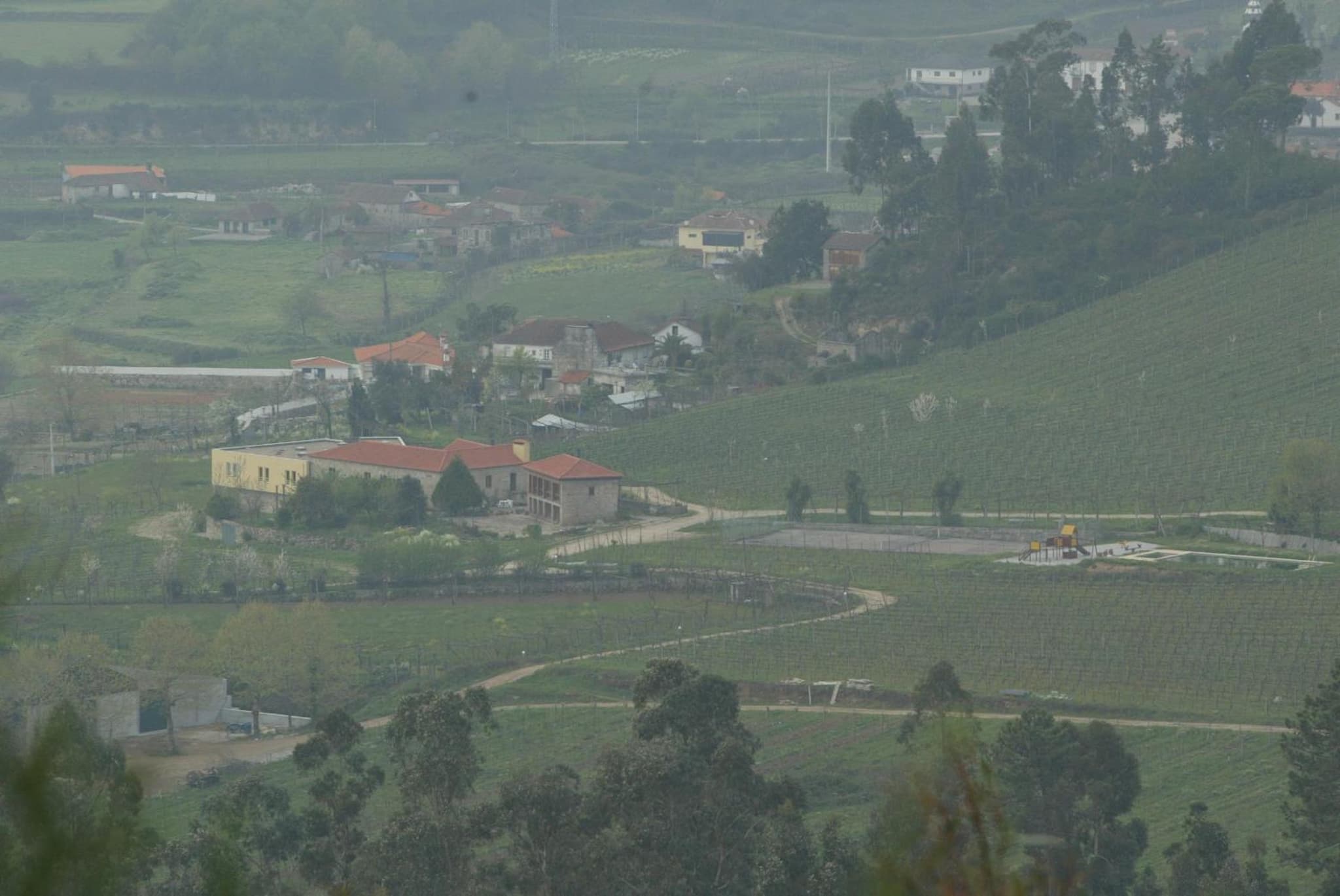 Quinta de Lourosa photo 7