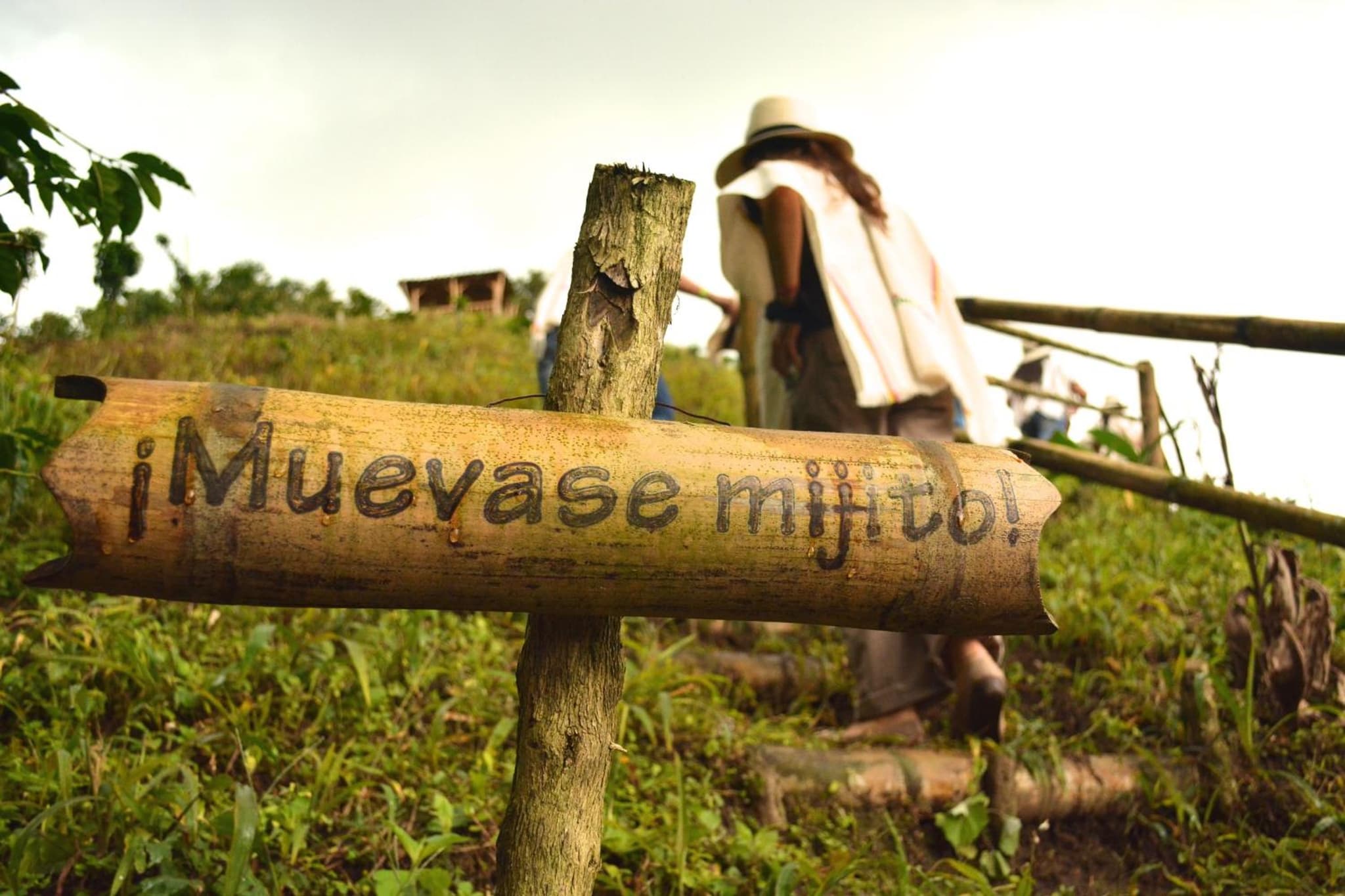 Finca del Café - Casa Typica photo 7