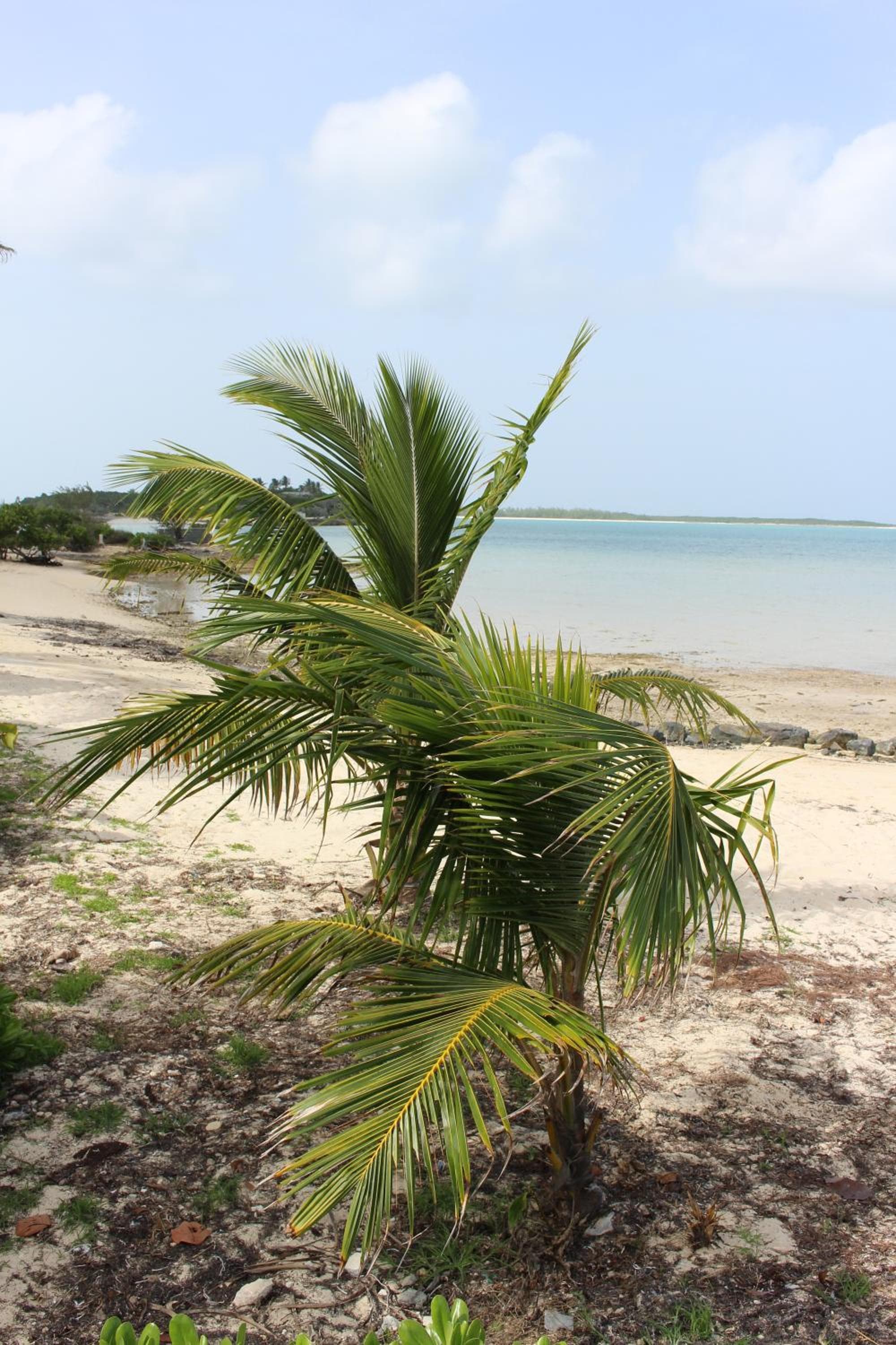 Hideaways Exuma photo 8