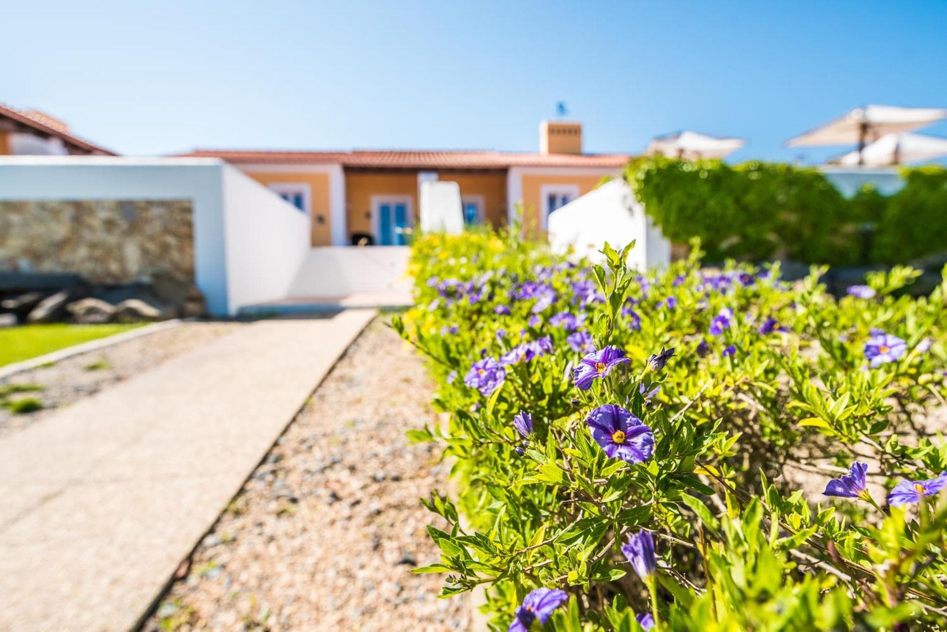 Monte do Giestal - Casas de Campo & Spa photo 2