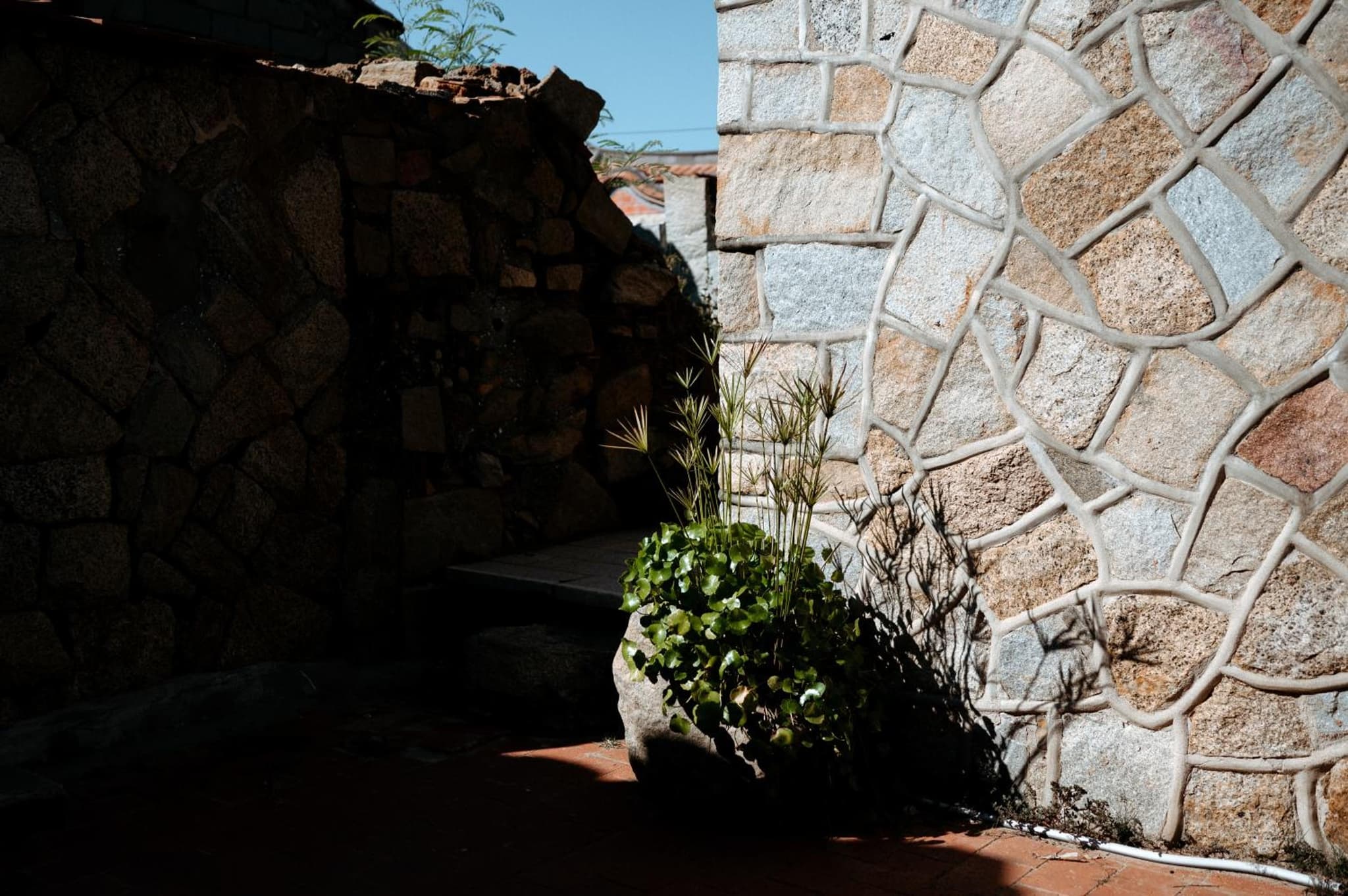 Live Guest House photo 4