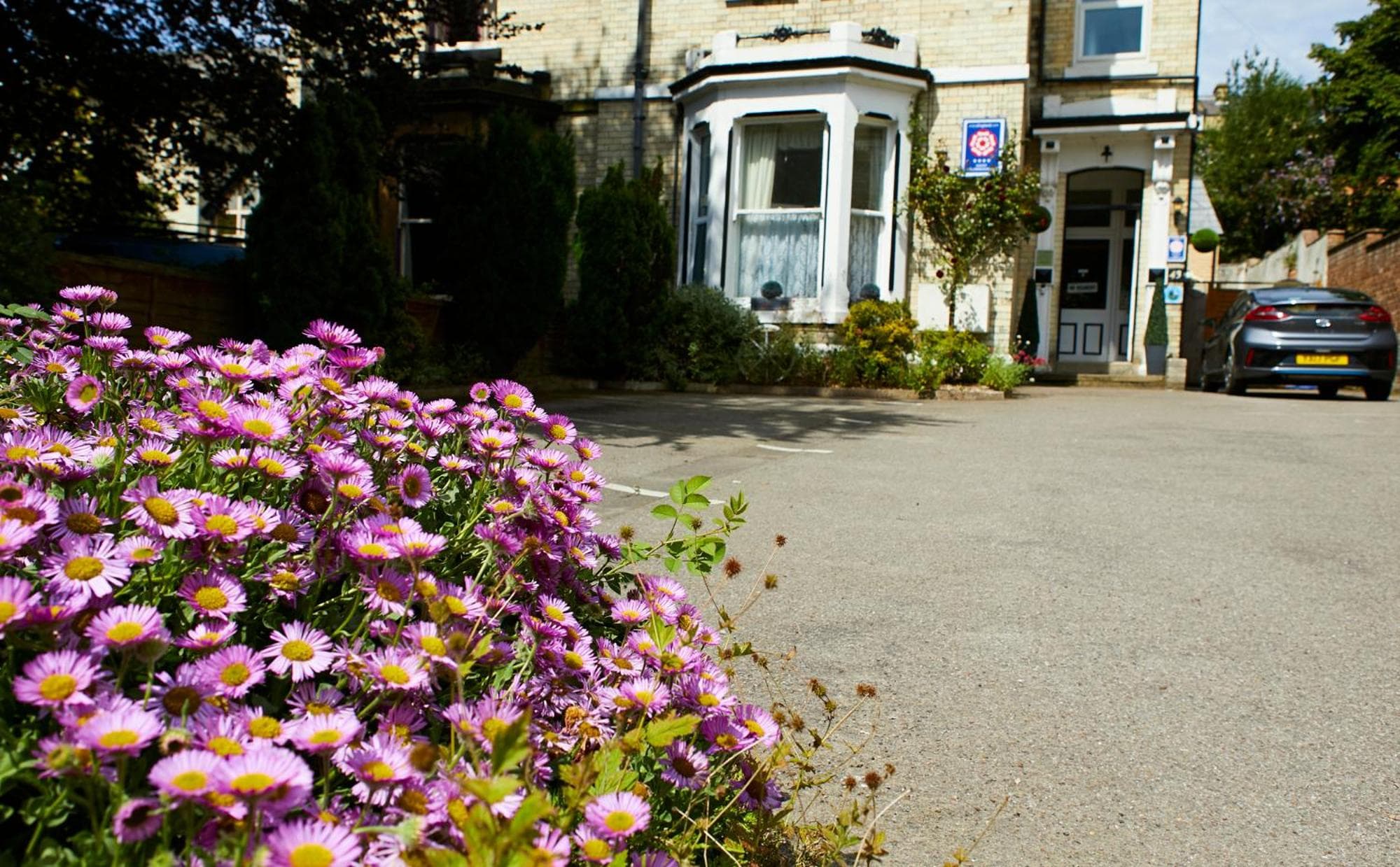 Ashburton House - B&B photo 7