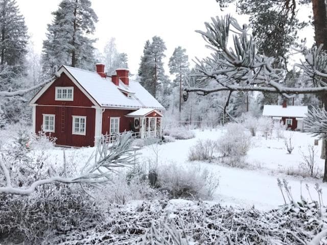 Villa Tammikko photo 8