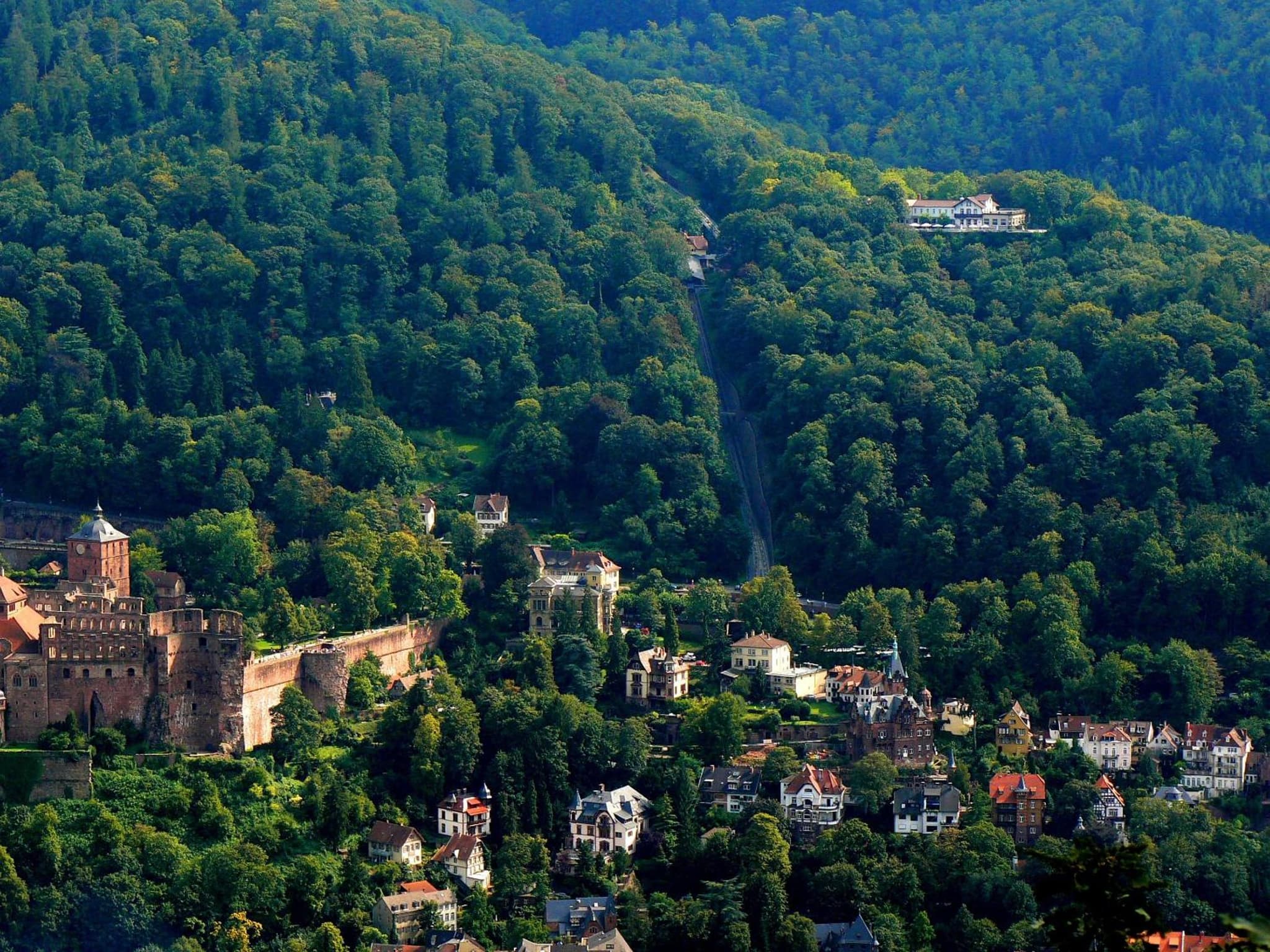 Schlosshotel Molkenkur photo 4