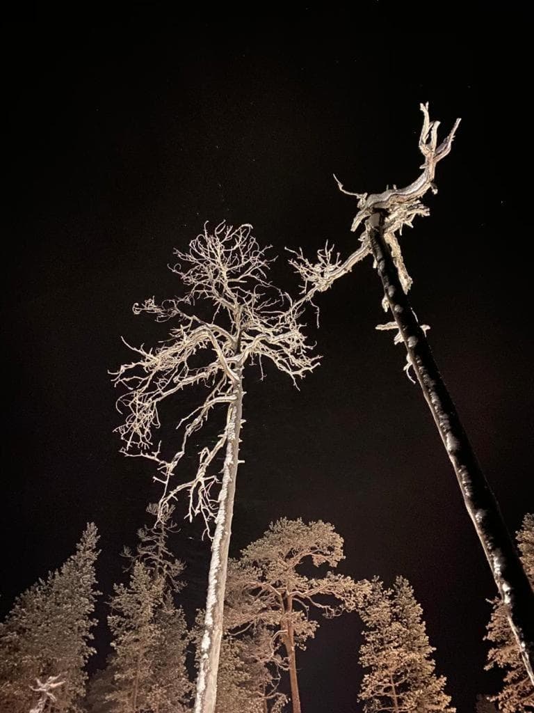 Willa Lumia photo 6