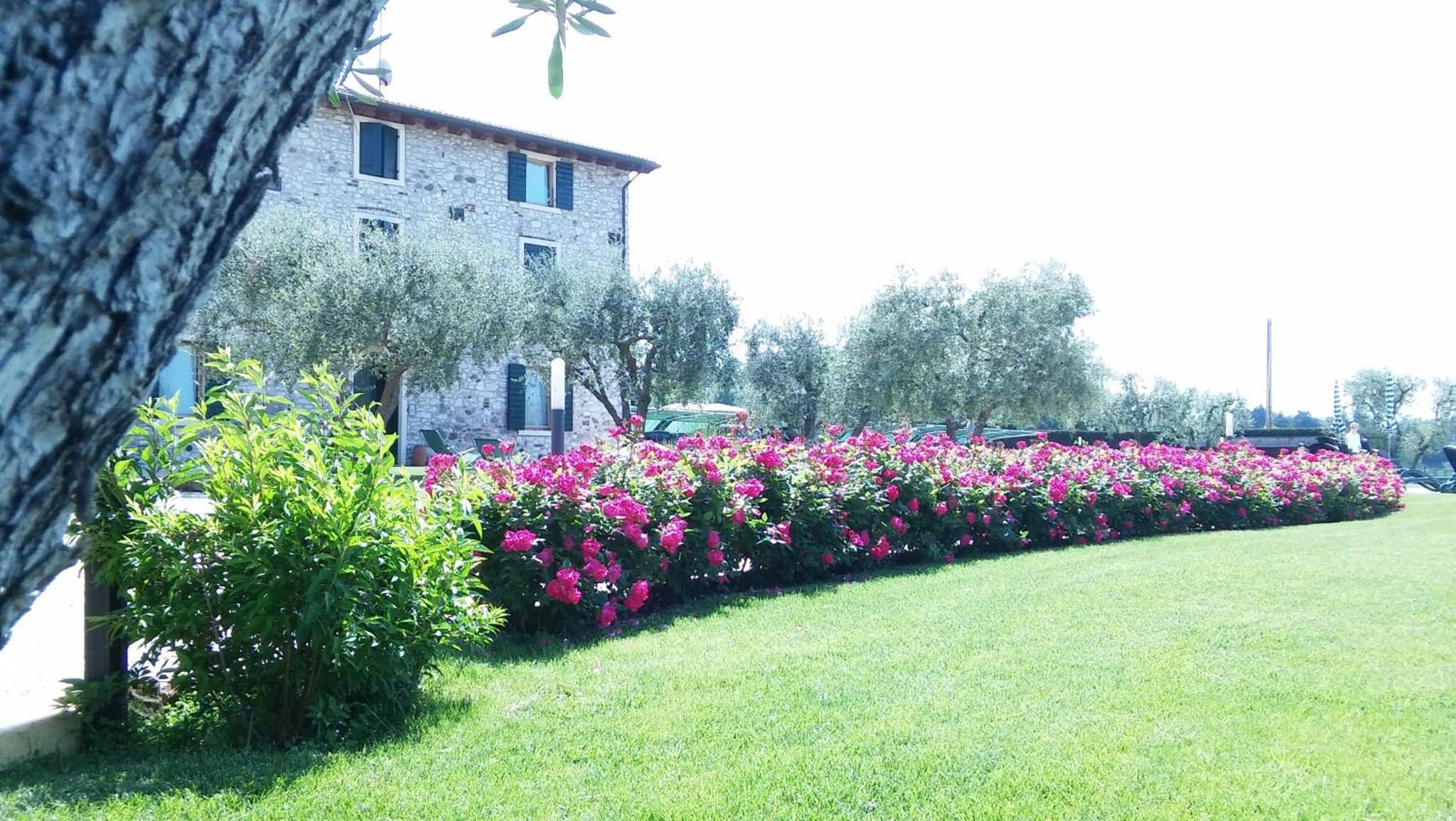Agriturismo Le Ginestre photo 8