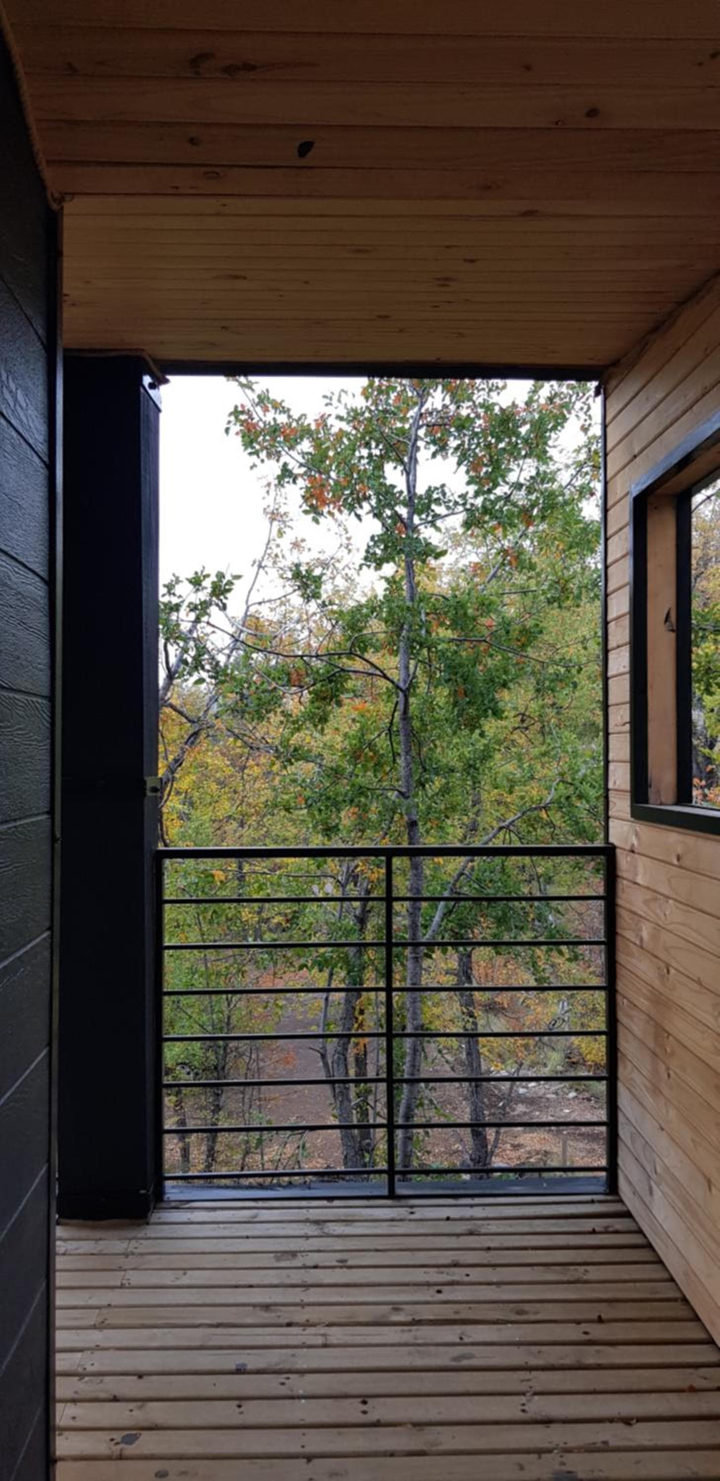 Vivelodge photo 8