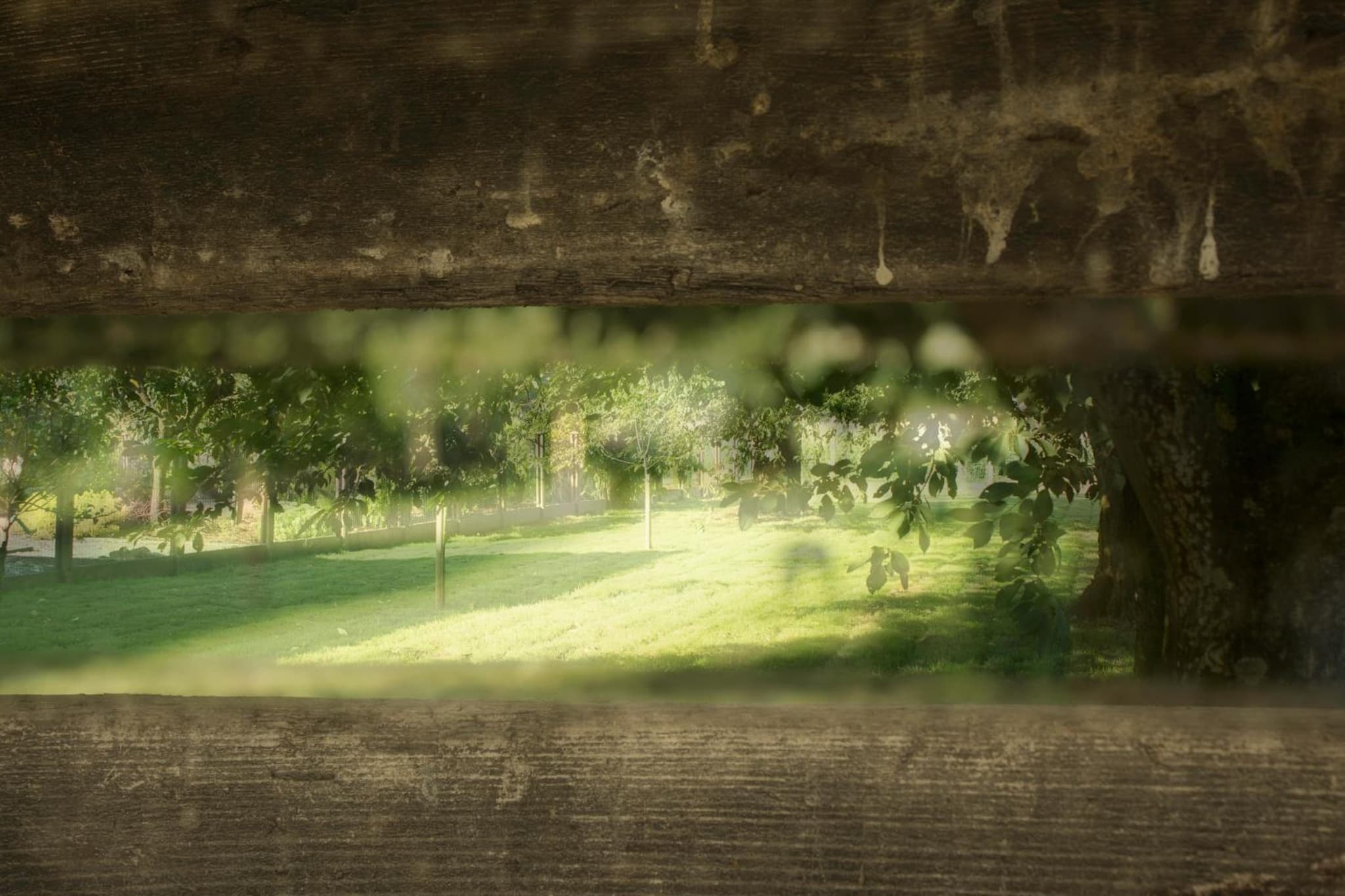 B&B Den Boomgaard Moorsel photo 4