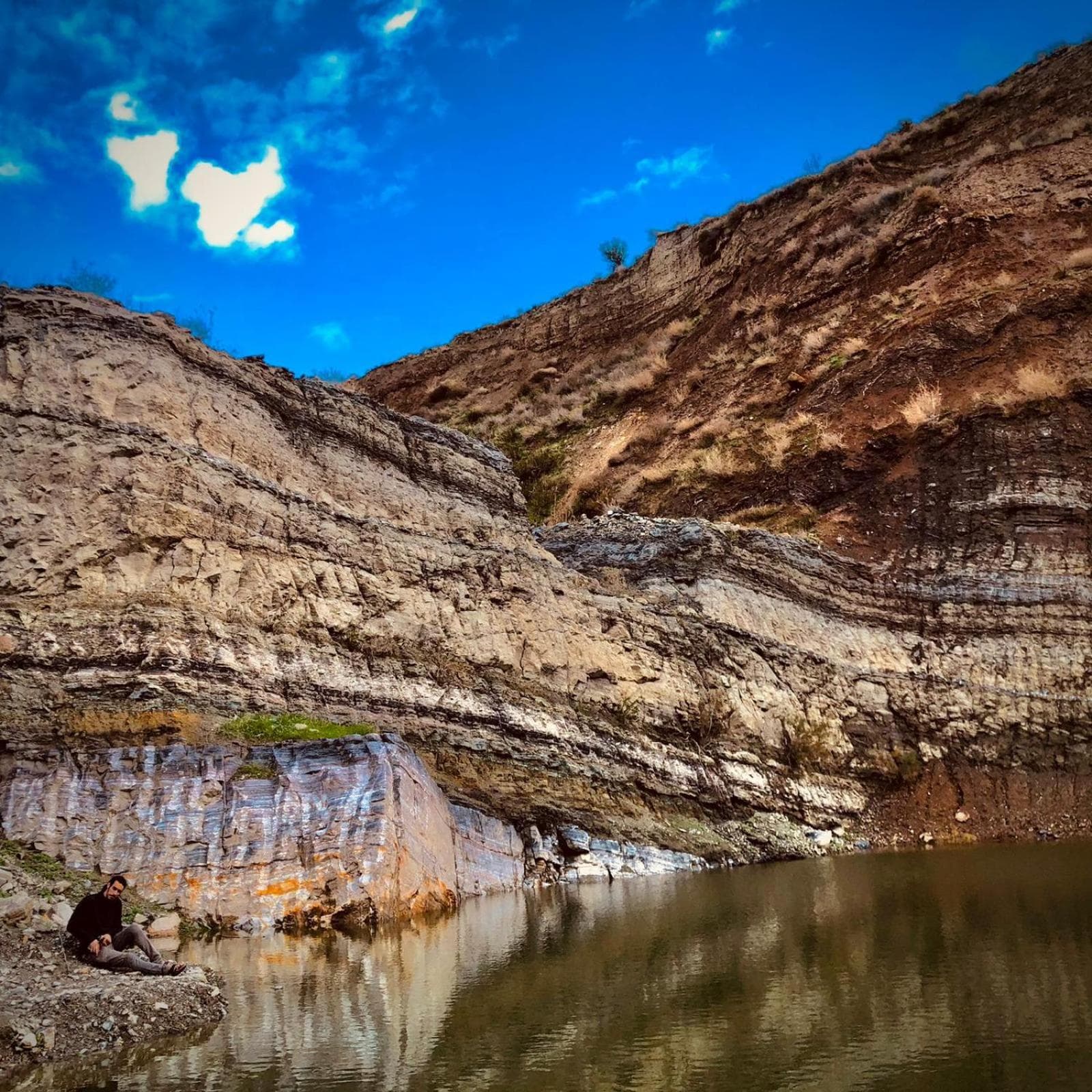 Suite in nature photo 8