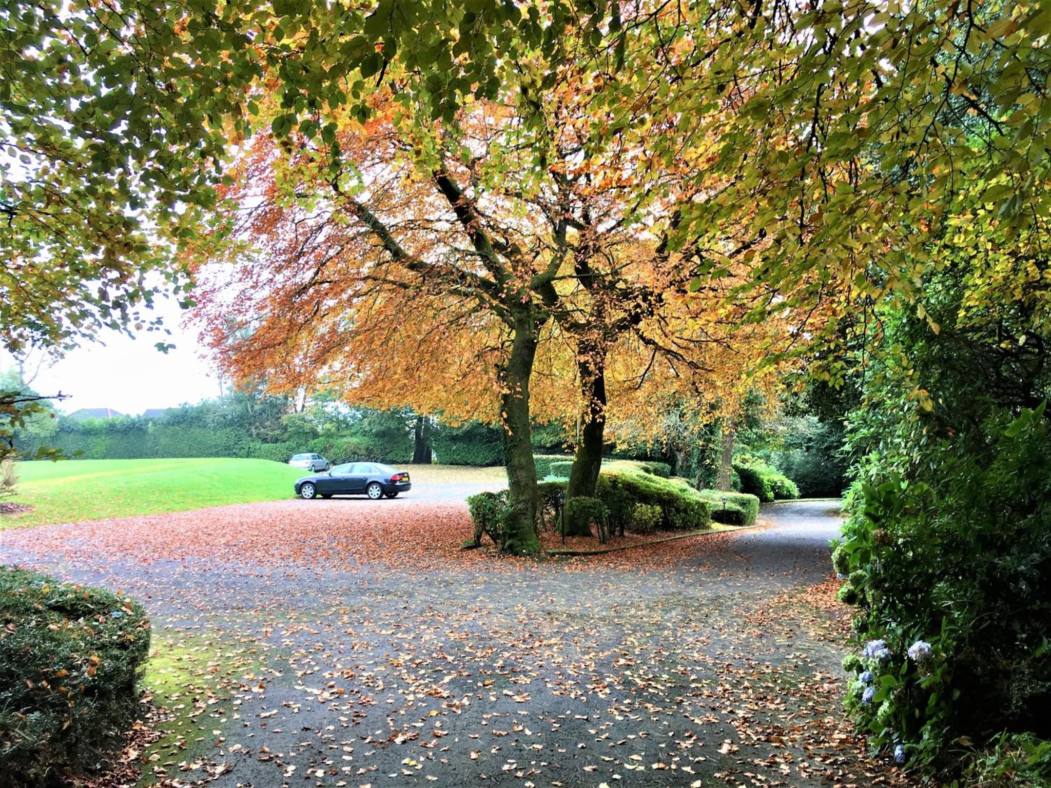 Astley Bank Hotel photo 8