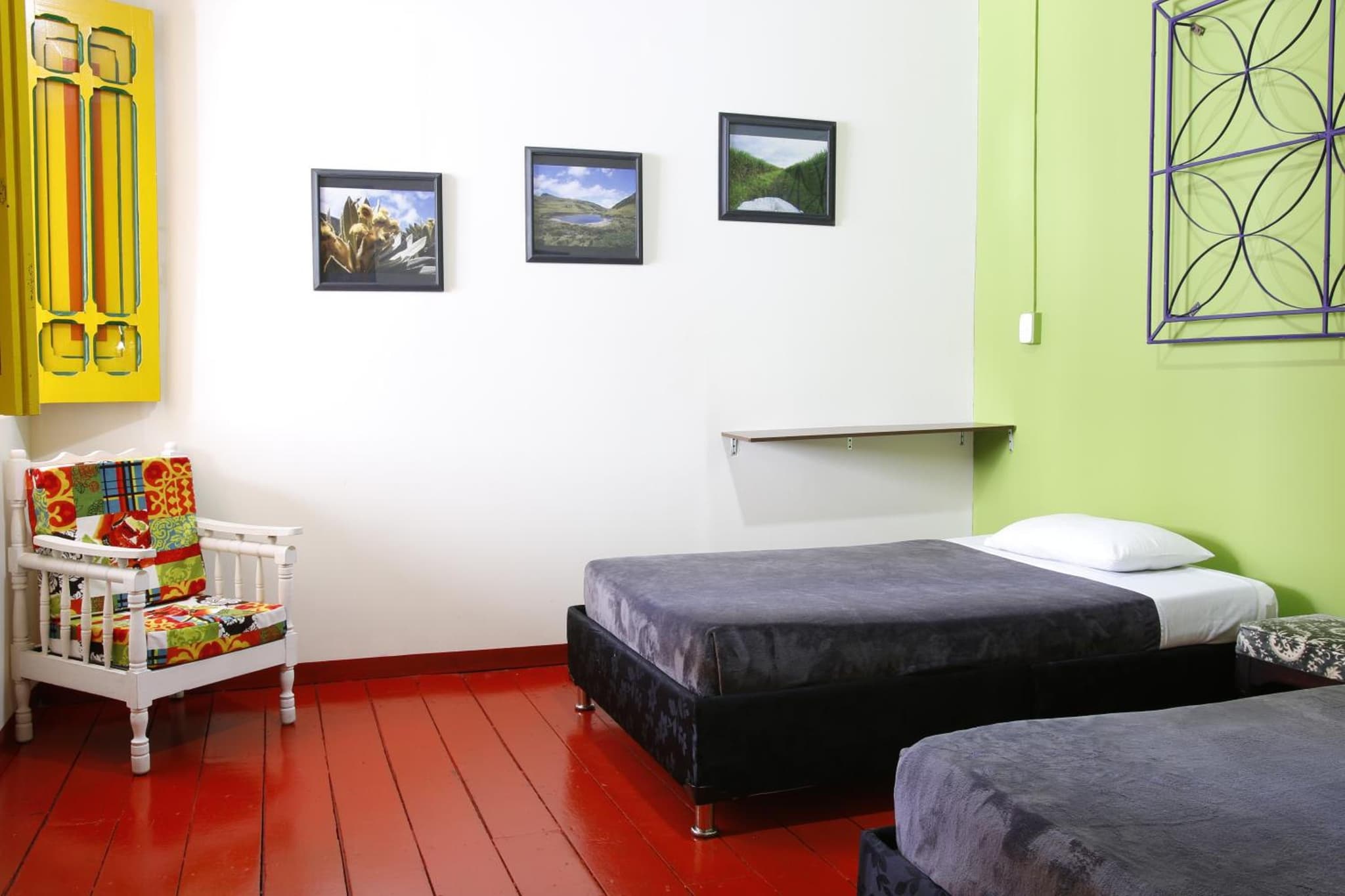 Golden Frog Manizales photo 4