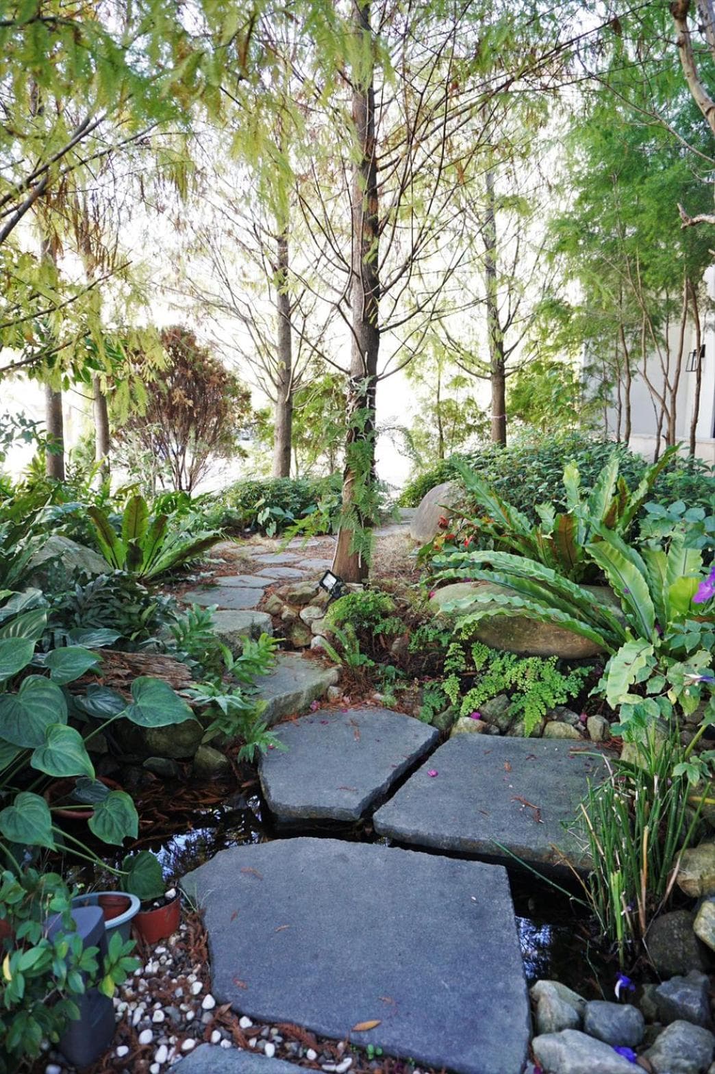 Grace Garden Coffee Homestay photo 9