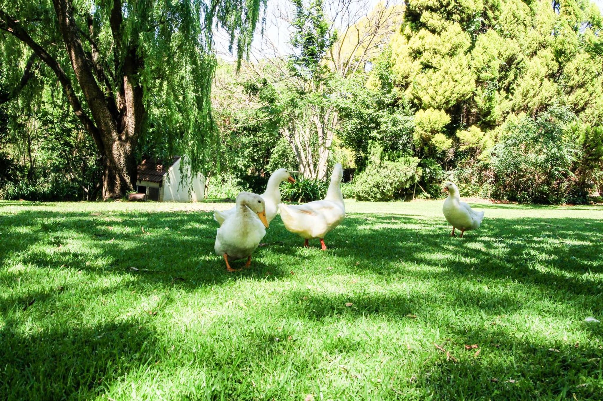 Budmarsh Country Lodge photo 3