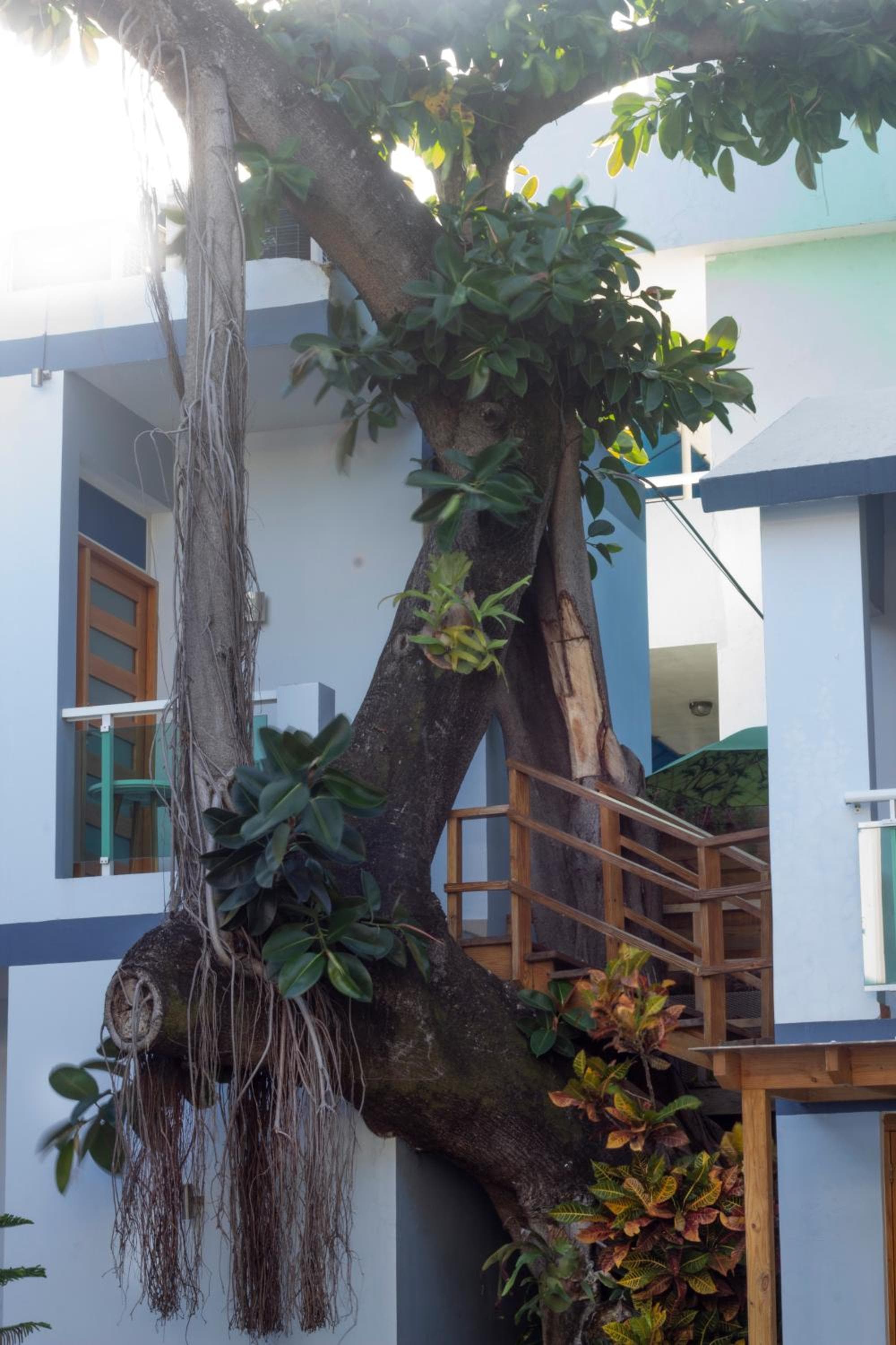 Casa Valeria Boutique Hotel photo 9