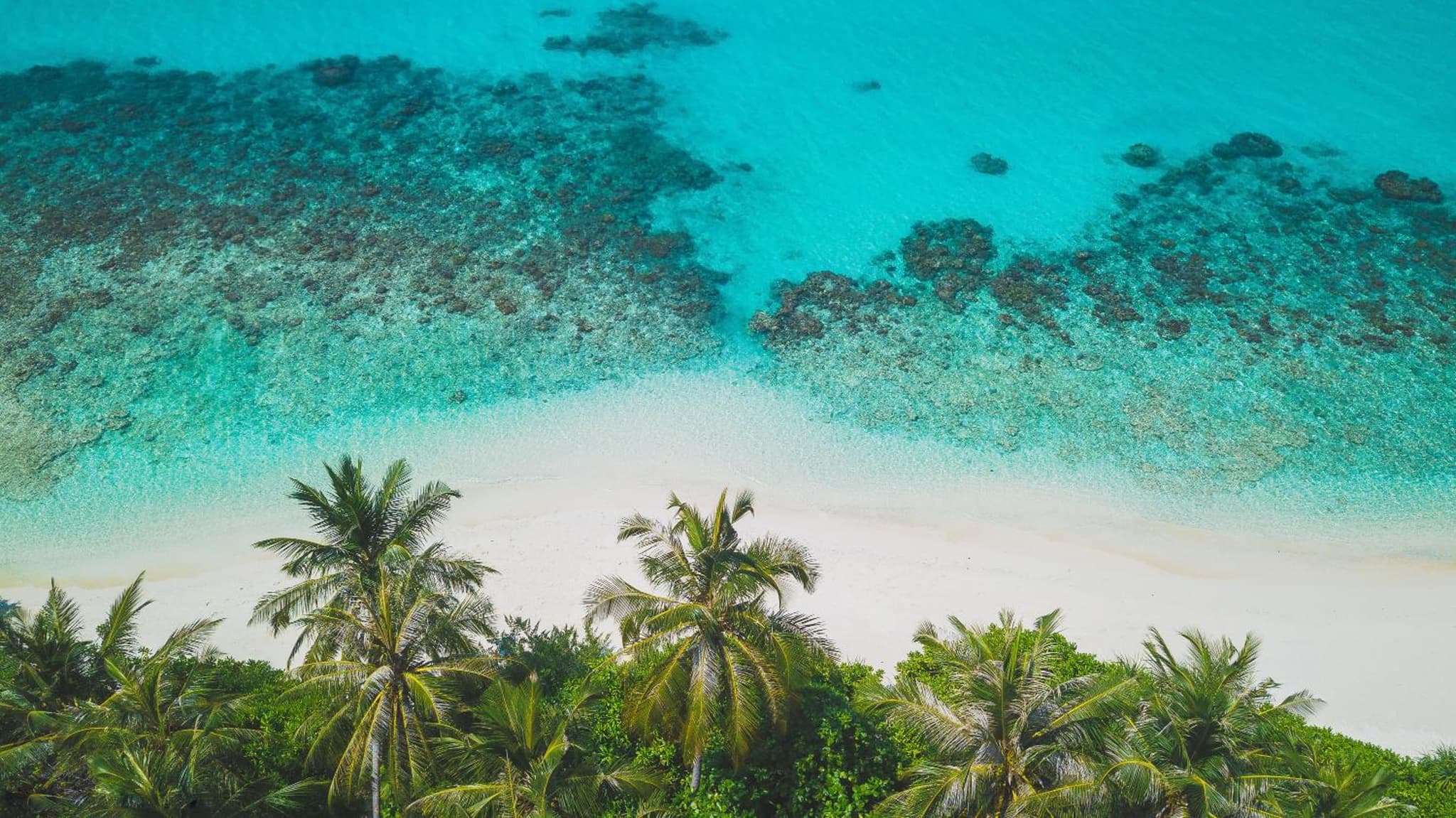 Dhiguveli Maldives photo 6