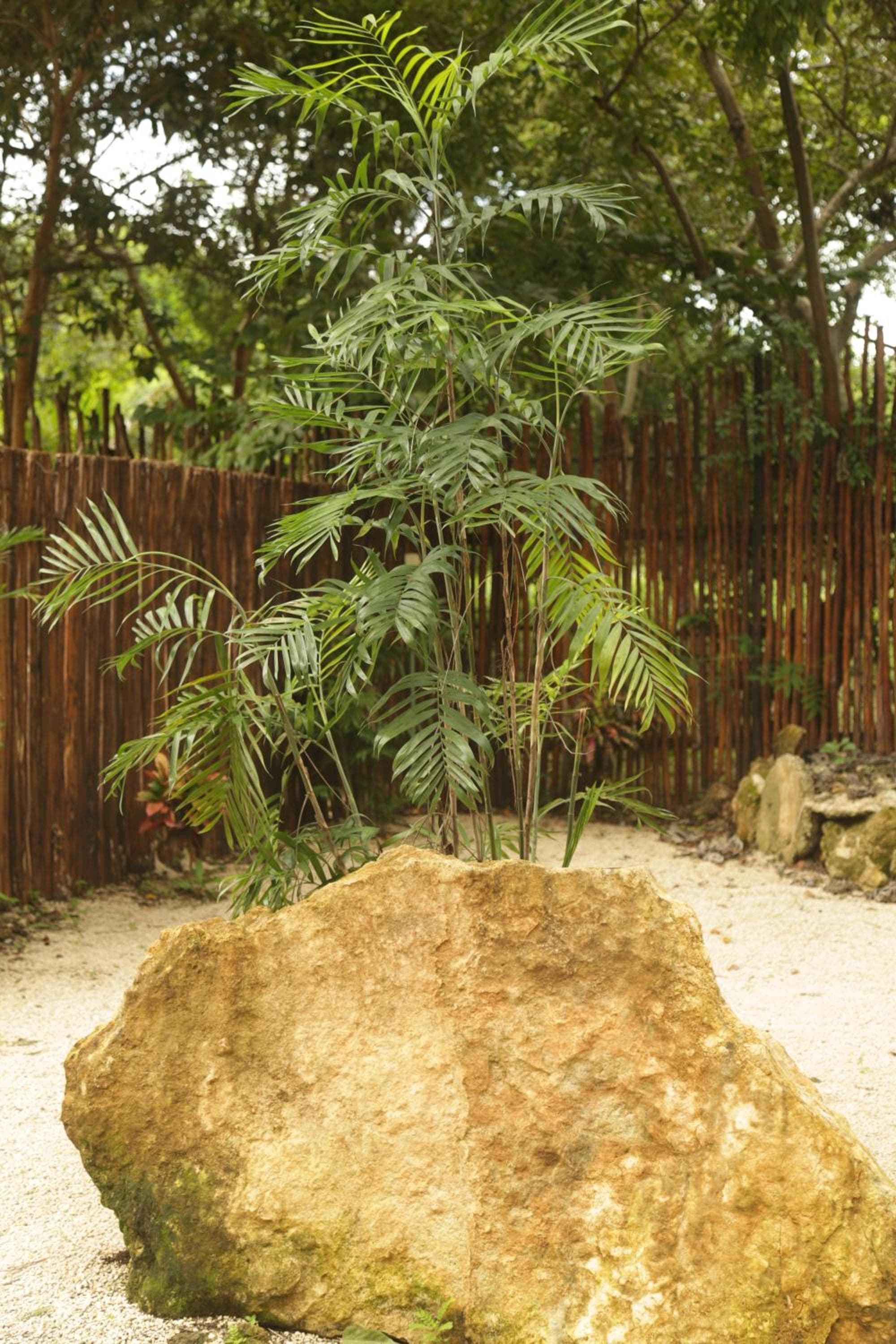 Mikasa Bacalar Hotel Boutique, Lagoon Front photo 4
