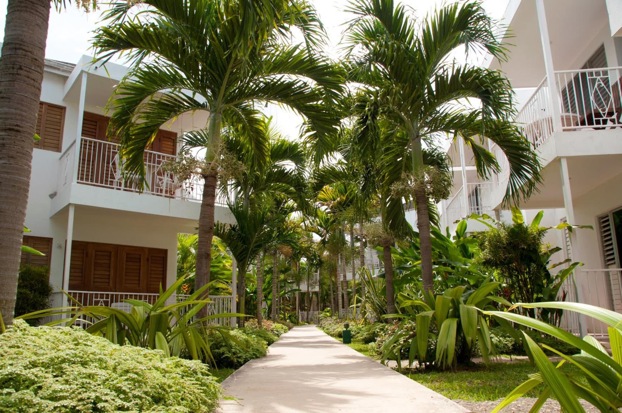 Negril Palms photo 7