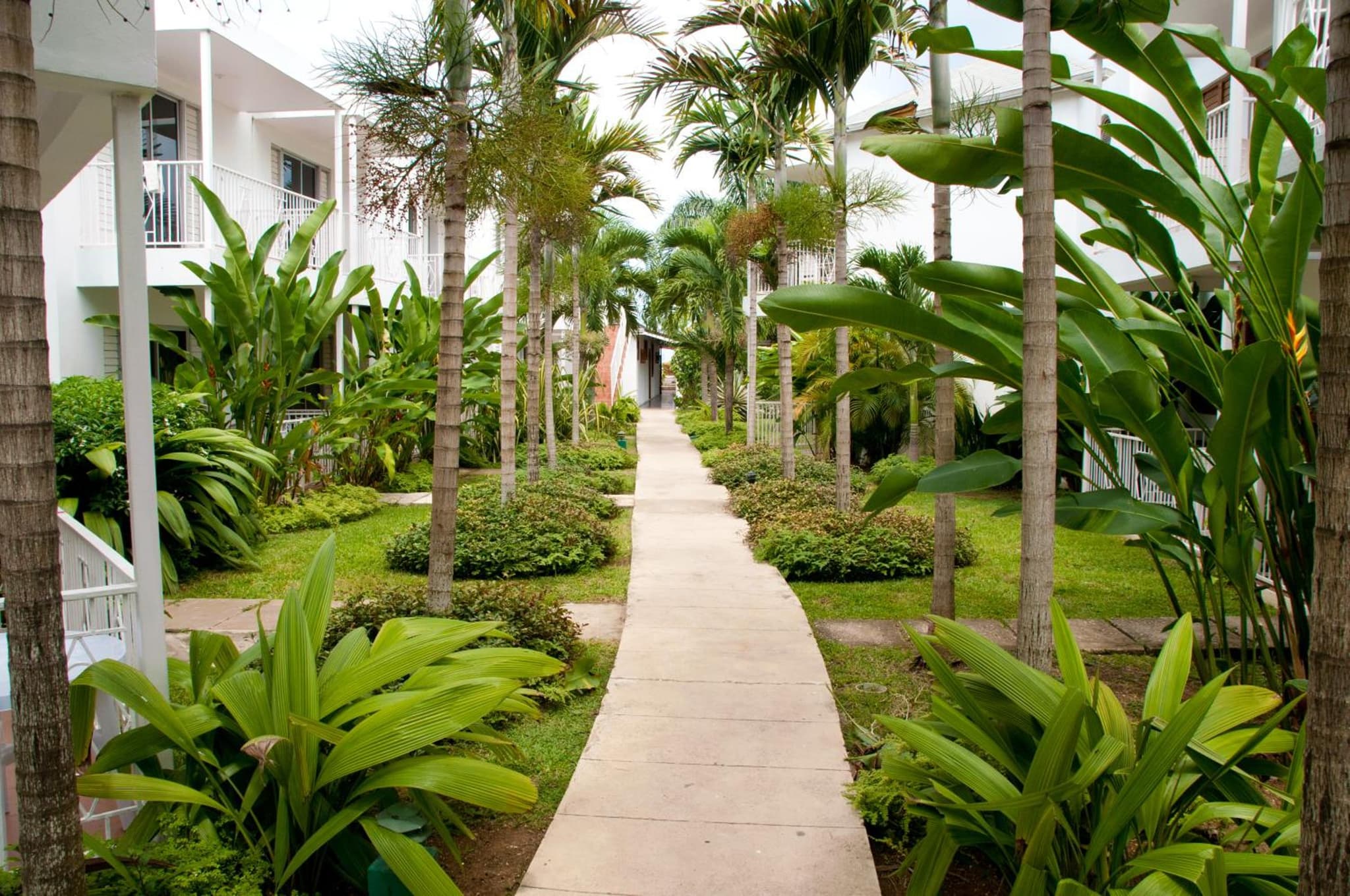 Negril Palms photo 8