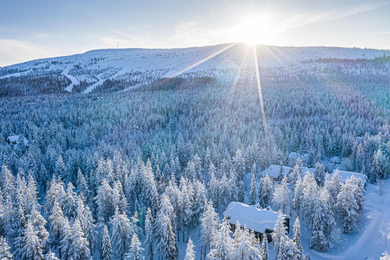Rentorakka