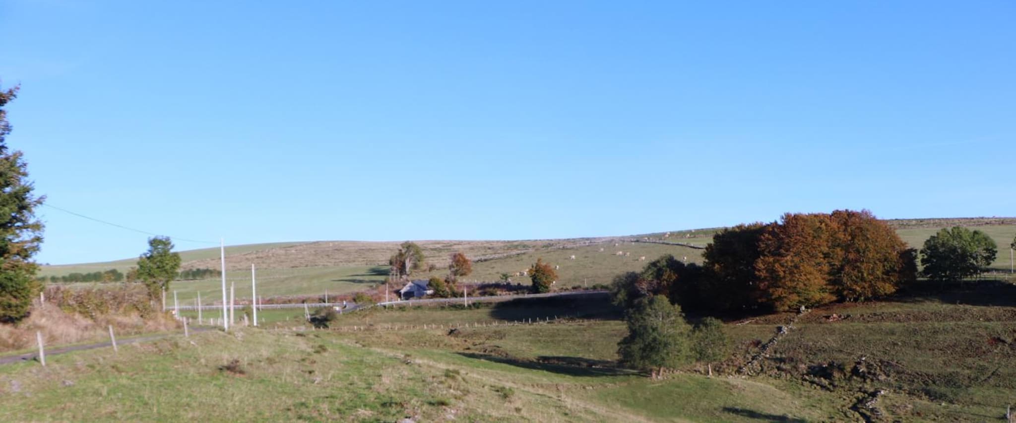 Horizon Aubrac Laguiole photo 2