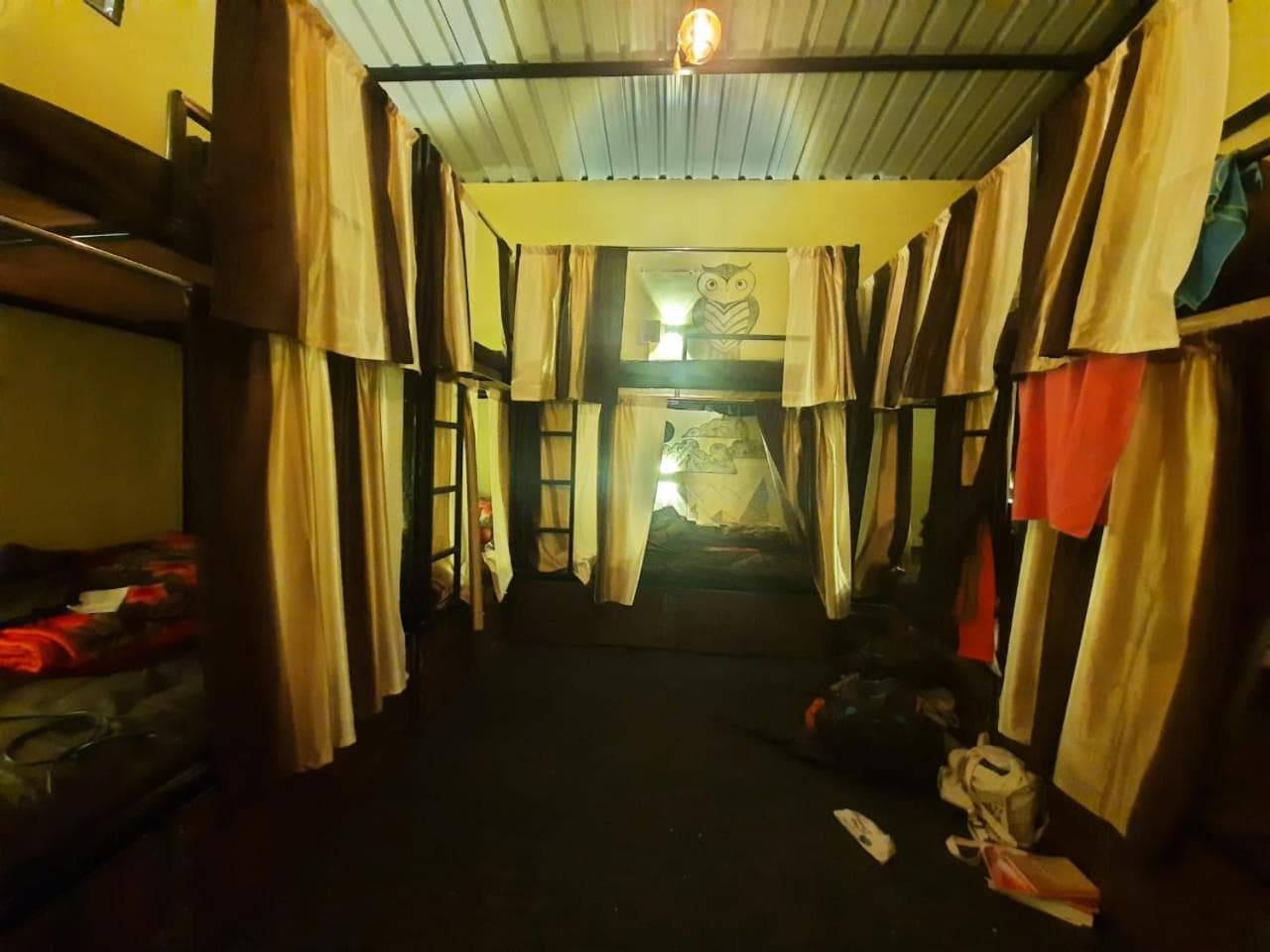 Hobbit House Hostel photo 9