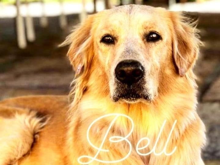 Pousada Da Bell photo 4