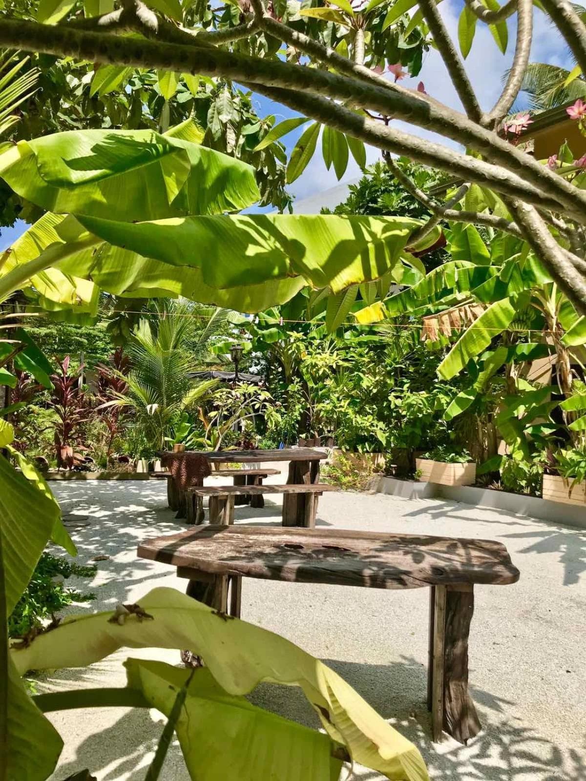 Daisy Cottage Dhangethi photo 8
