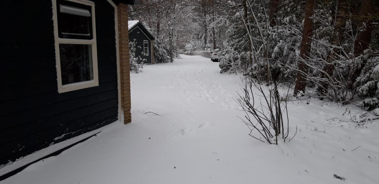 Bospark De Schaapskooi photo 3
