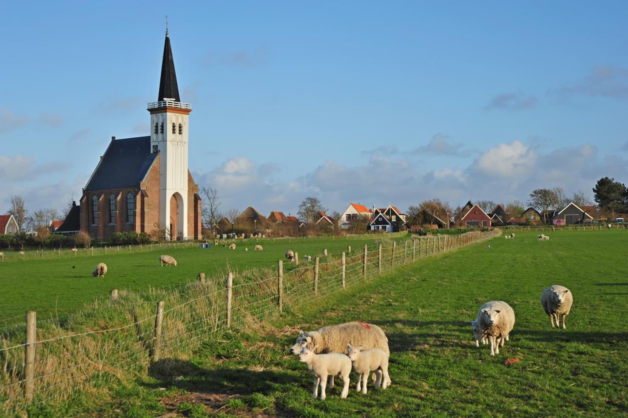 Witte Weelde Texel photo 2