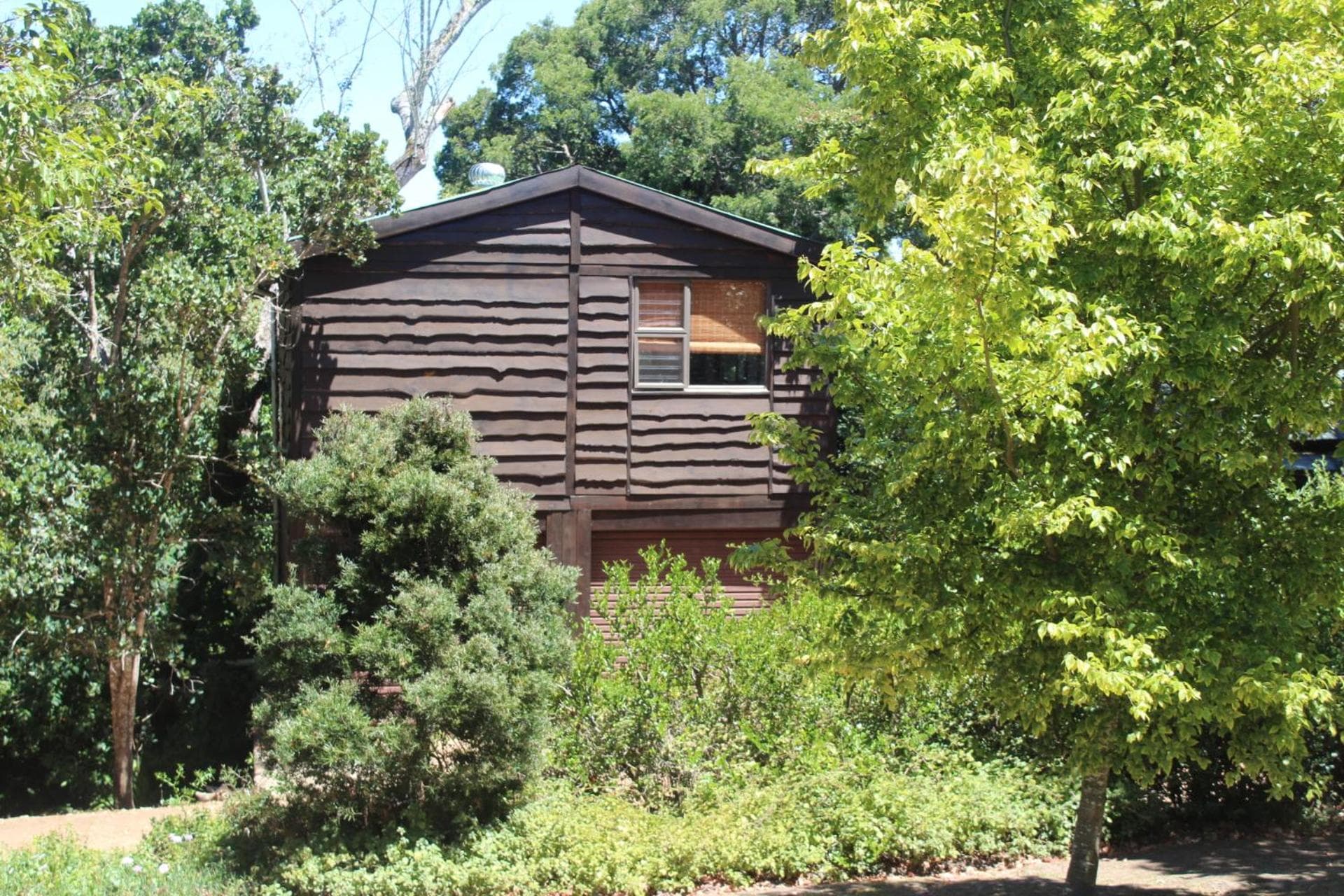 Treehouse Cottage photo 2