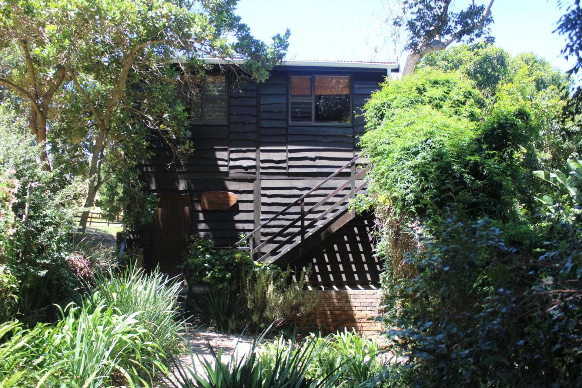 Treehouse Cottage photo 8