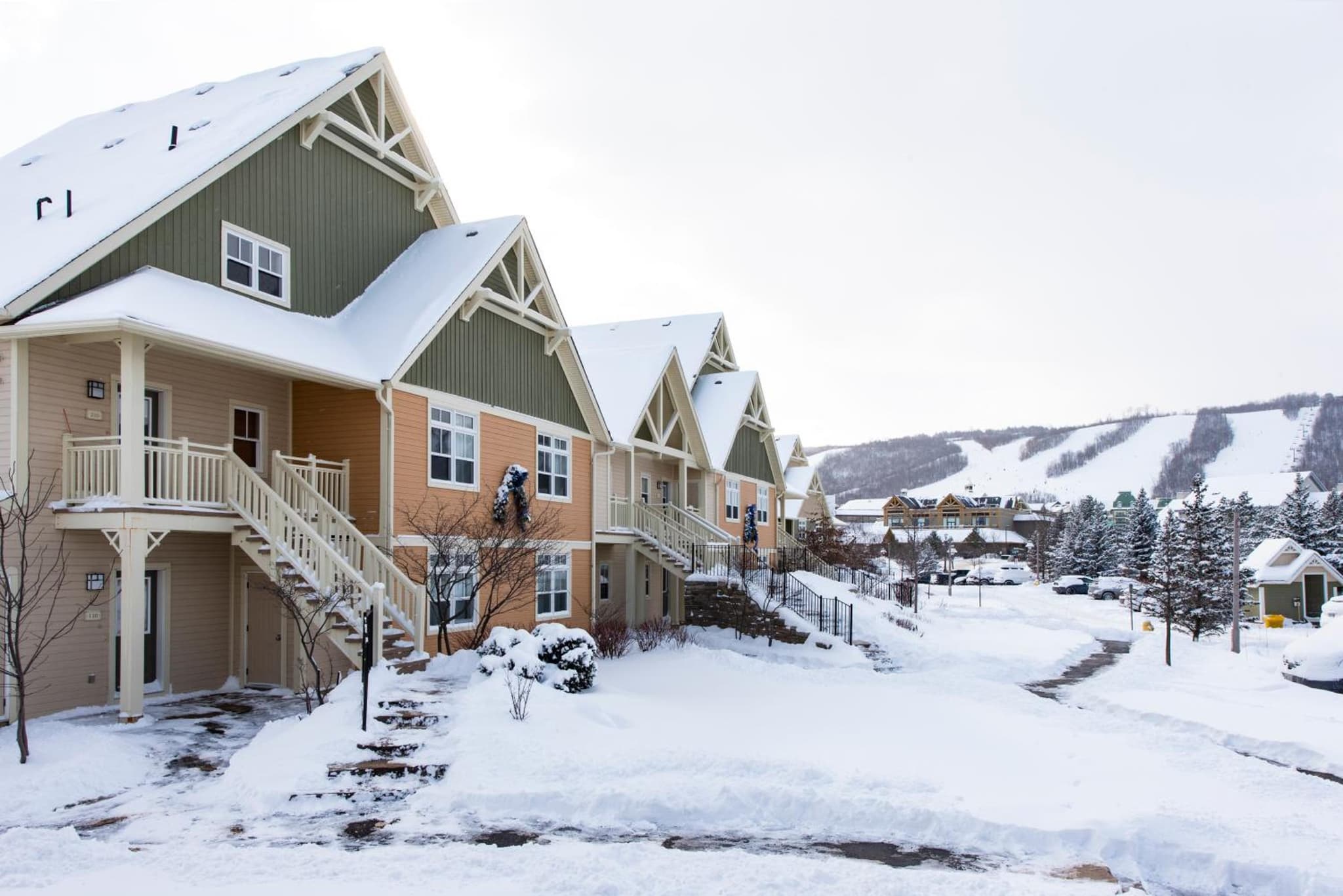 Blue Mountain Resort Home Collection