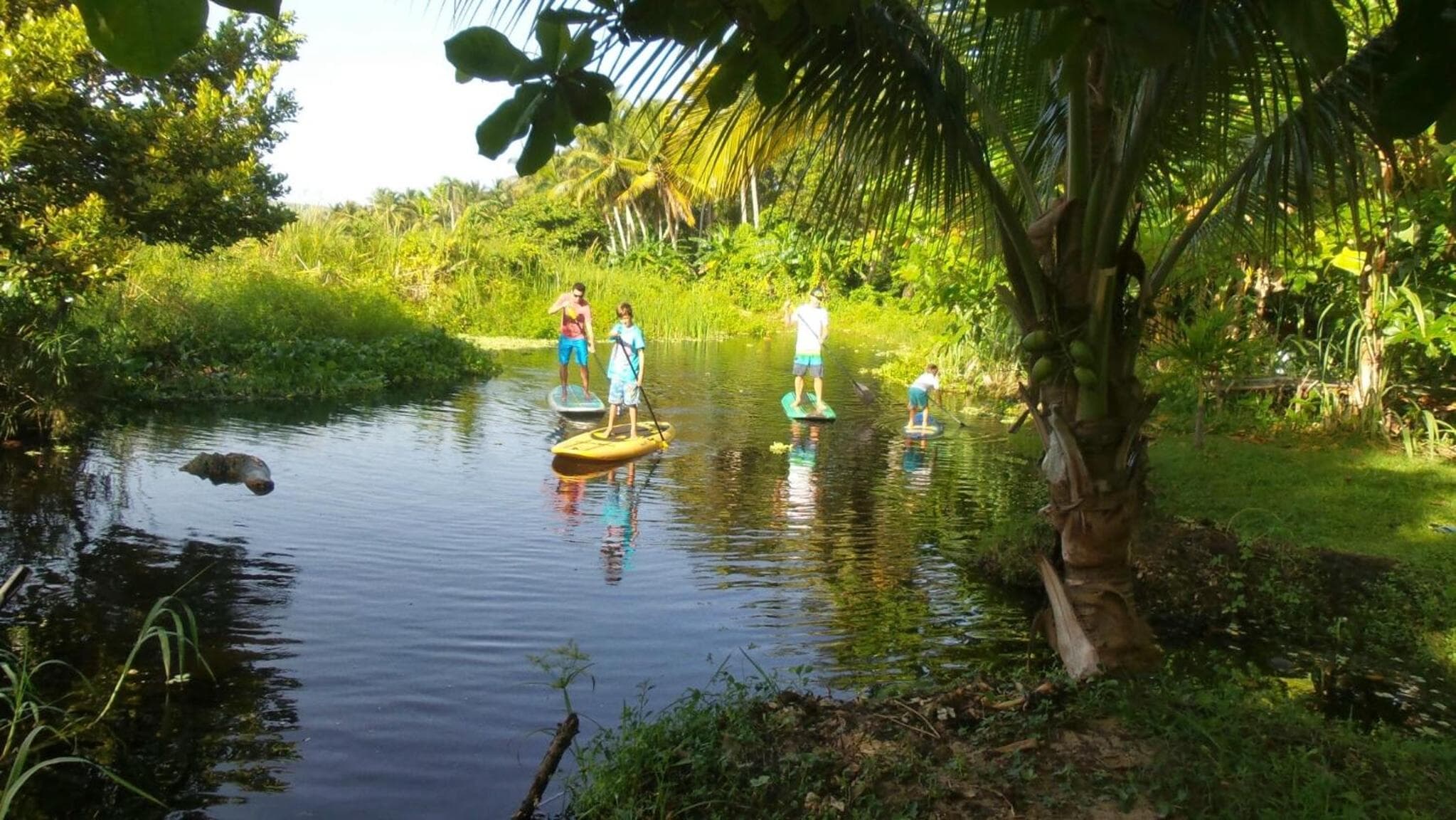 Method Living Tropical Edition 50024 photo 4