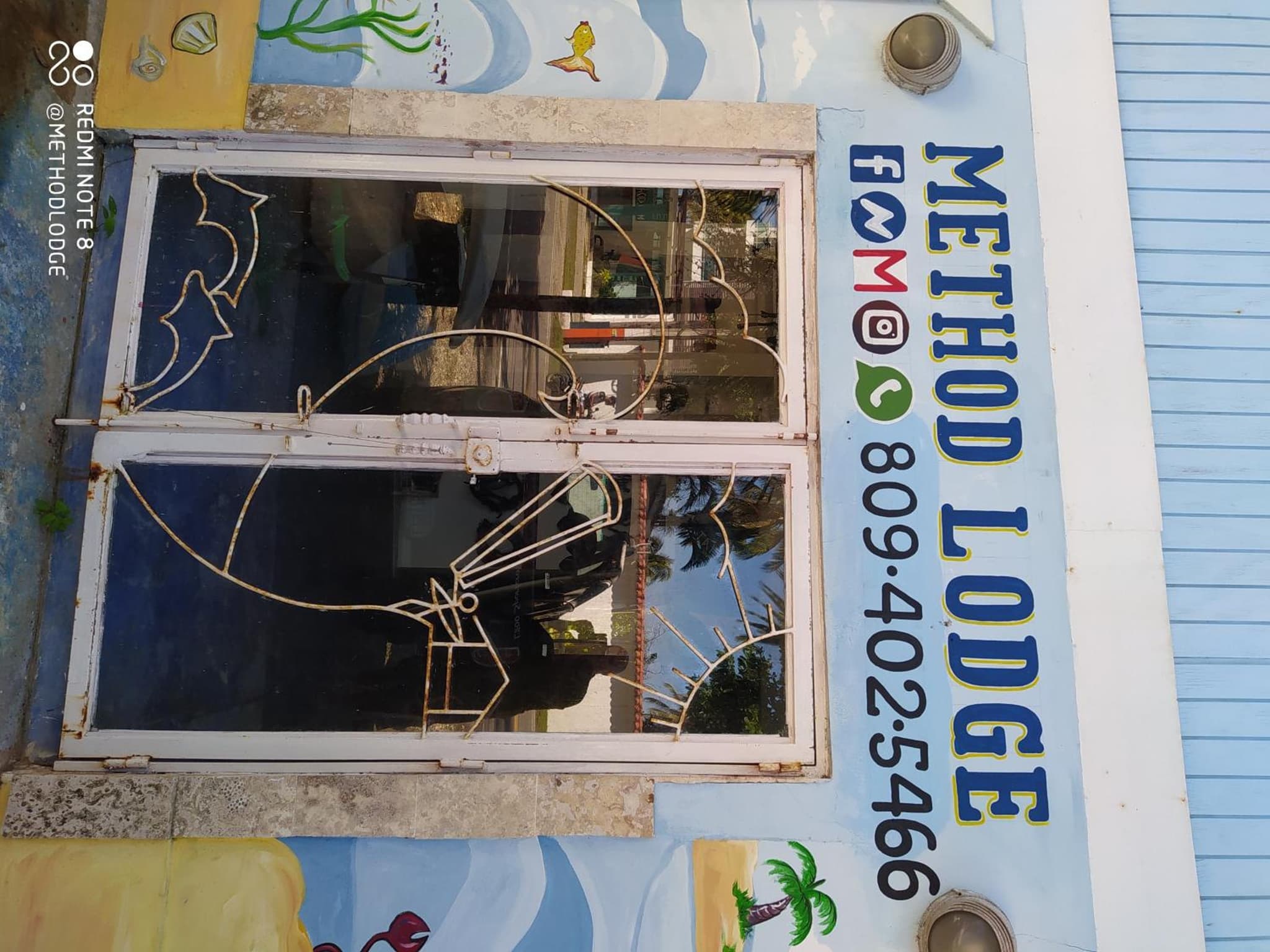 Method Living Tropical Edition 50024 photo 5