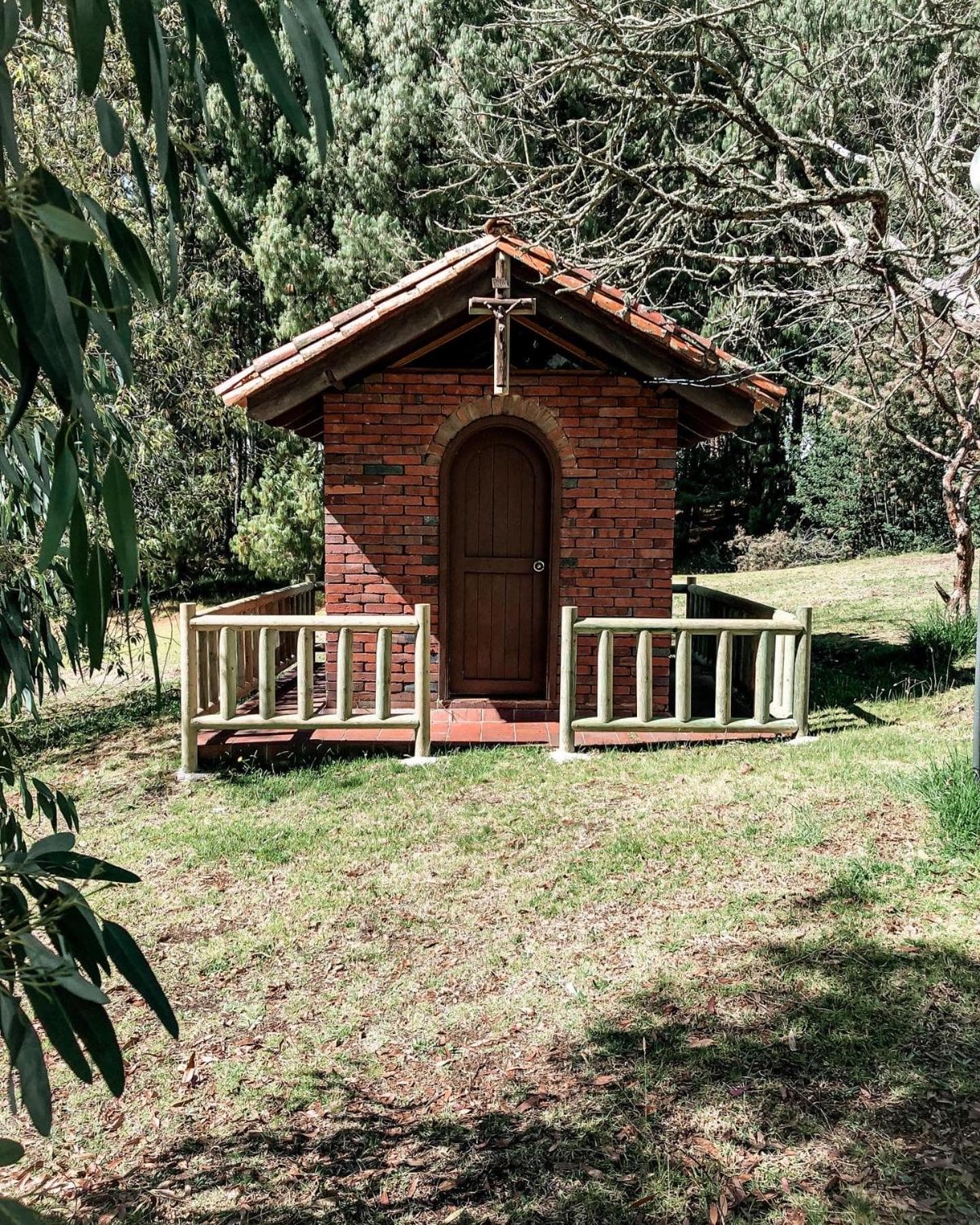 Hacienda la Odisea photo 3