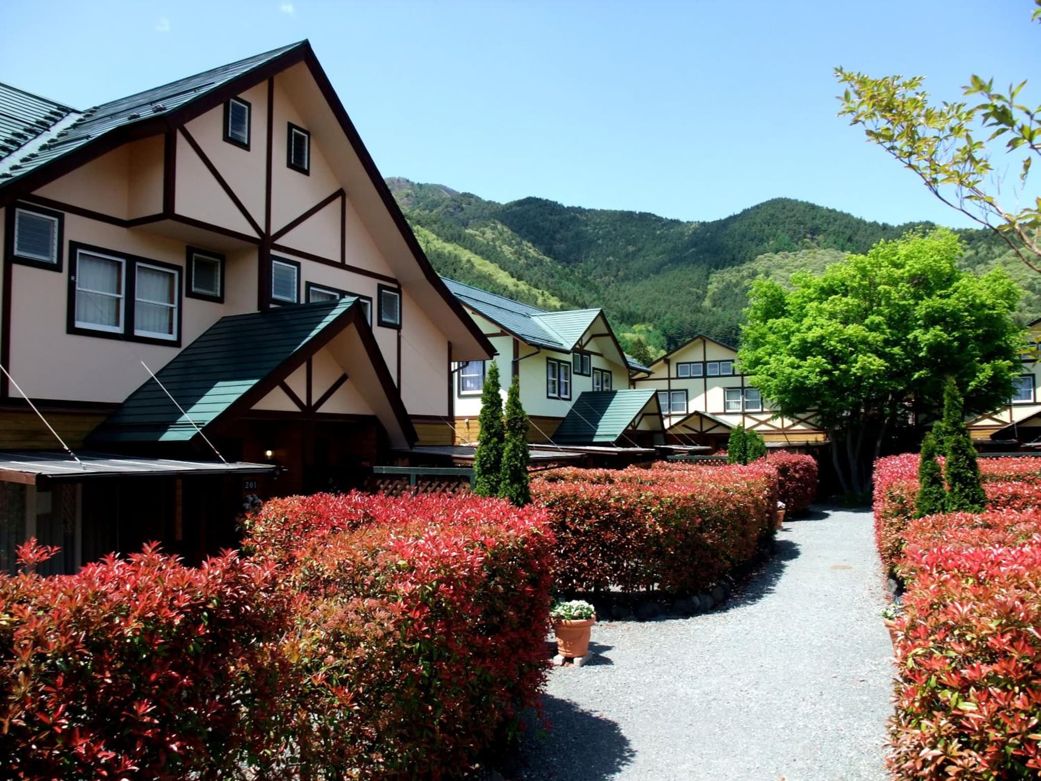 Lake Villa Kawaguchiko photo 3